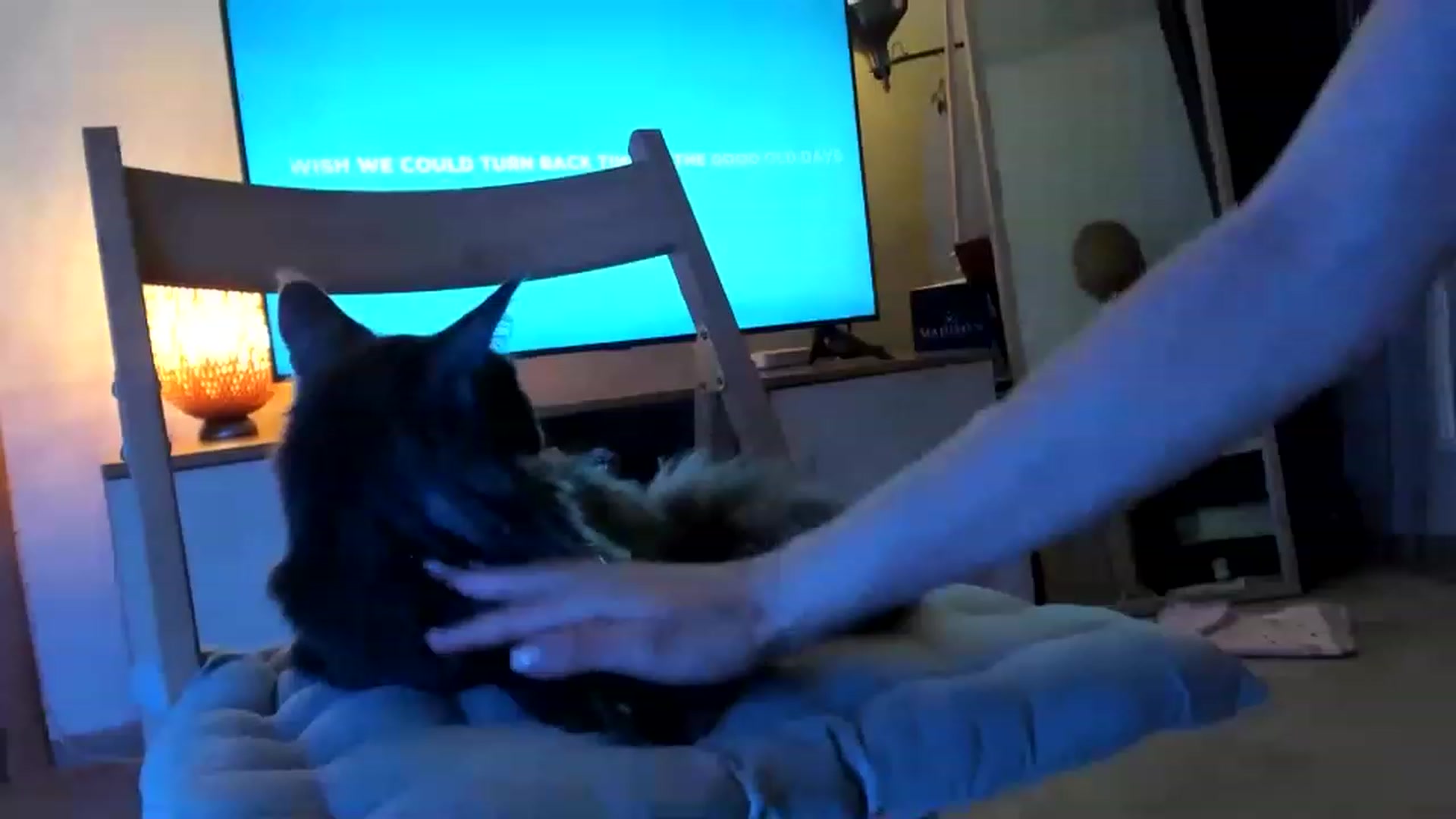 Gallery image thumbnail from Bee_Bee's myfreecams stream on, 04/23/2023, 20:14 image 8 of 20