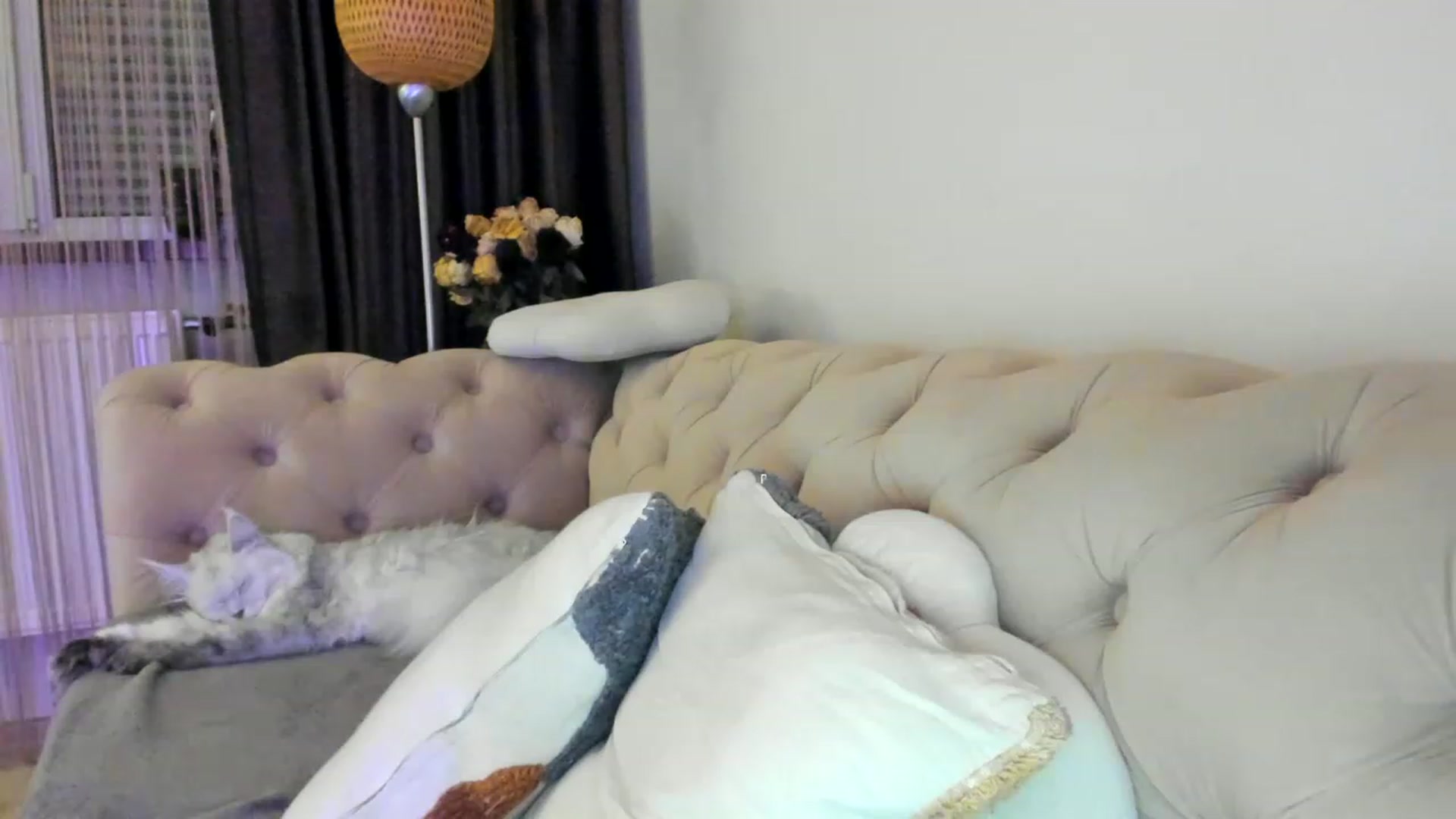 Gallery image thumbnail from Bee_Bee's myfreecams stream on, 04/26/2023, 21:32 image 20 of 20
