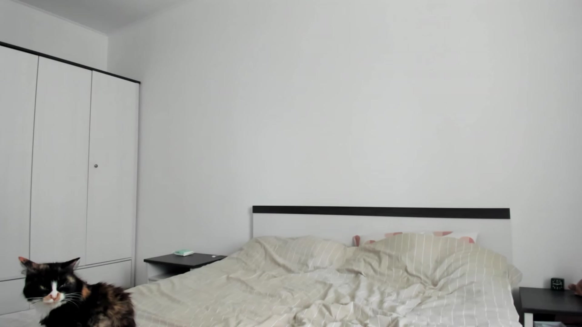 Gallery image thumbnail from Bee_Day_Month's myfreecams stream on, 06/14/2023, 13:04 image 2 of 20