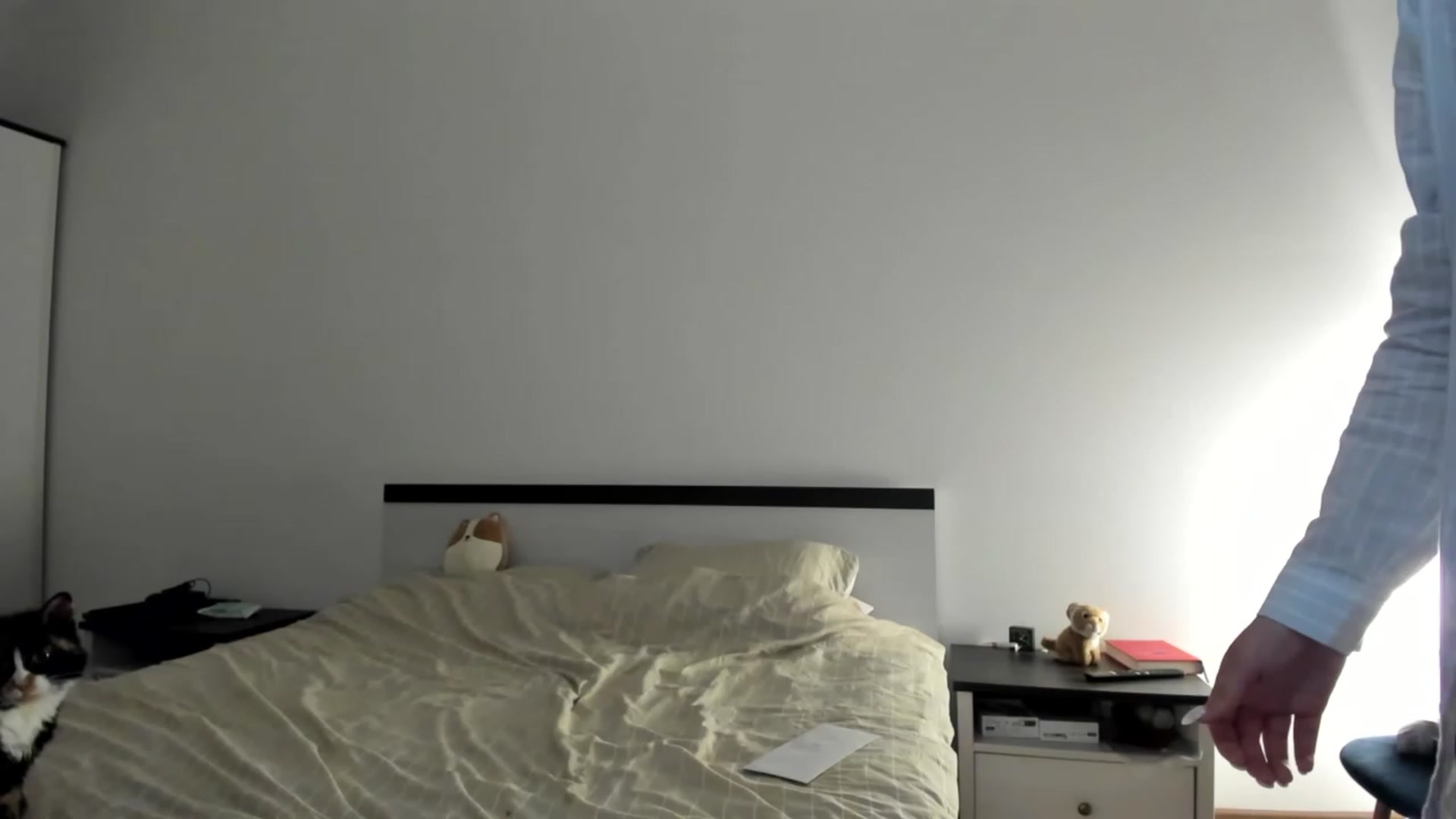 Gallery image thumbnail from Bee_Day_Month's myfreecams stream on, 06/18/2023, 20:44 image 12 of 20