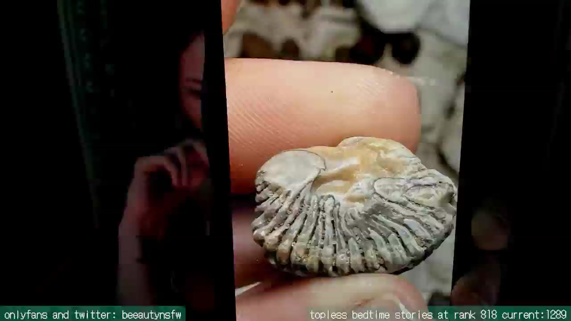 Gallery image thumbnail from BeeautyNSFW's myfreecams stream on, 06/25/2025, 05:26 image 19 of 20