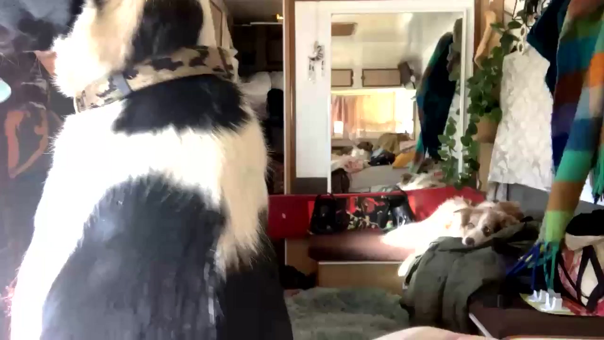 Gallery image thumbnail from Belen_O's myfreecams stream on, 06/30/2023, 02:44 image 20 of 20
