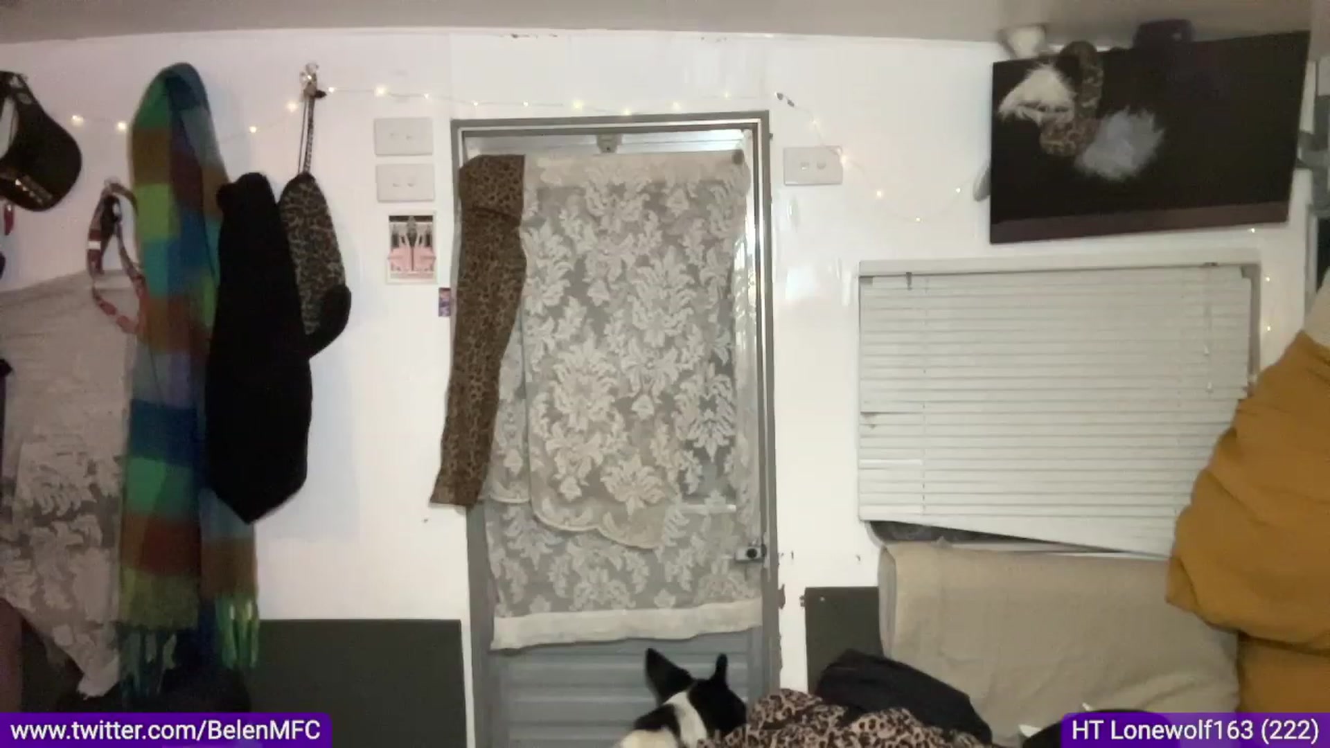 Gallery image thumbnail from Belen_O's myfreecams stream on, 08/01/2023, 09:36 image 7 of 20