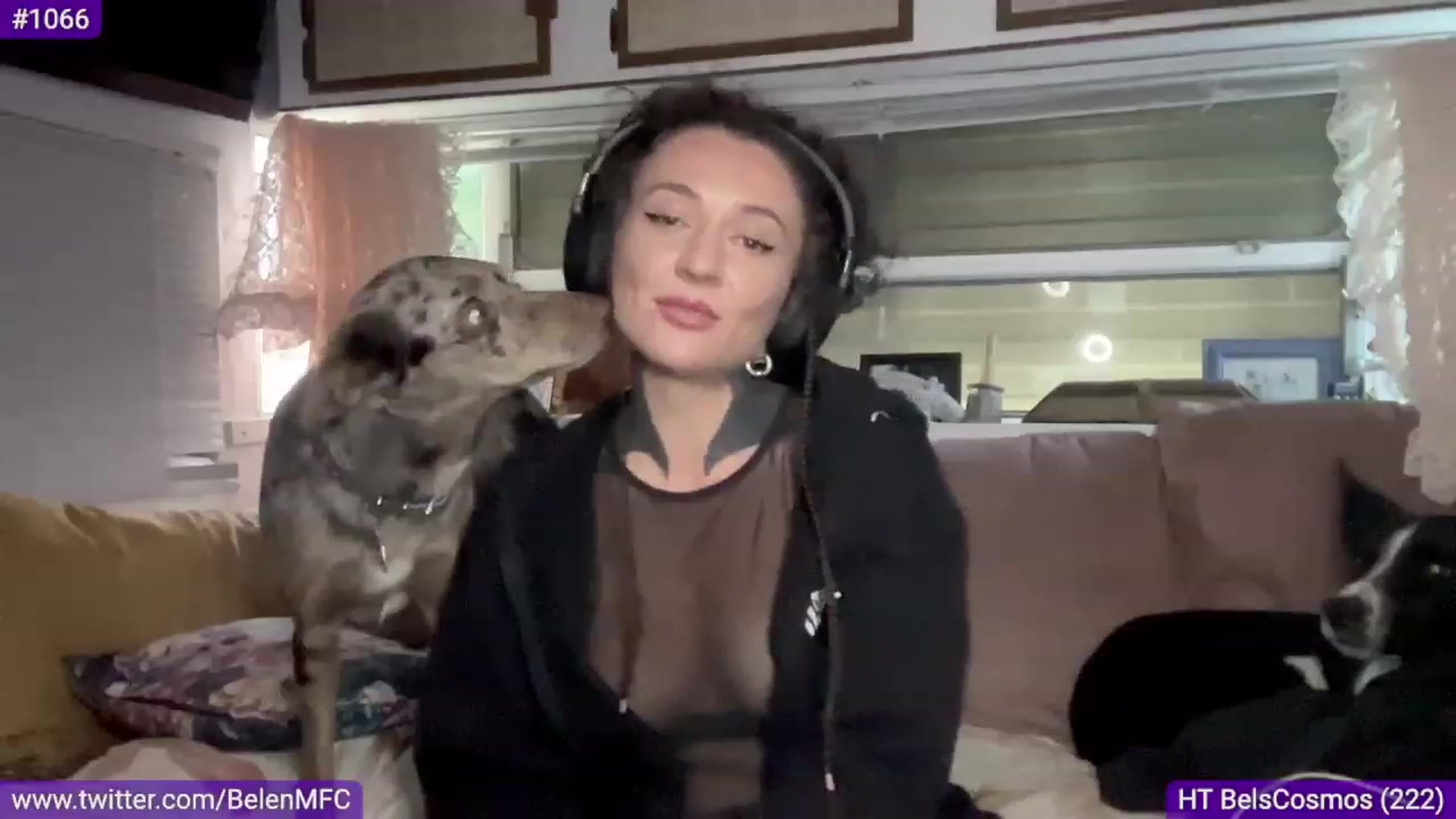 Gallery image thumbnail from Belen_O's myfreecams stream on, 08/09/2023, 07:06 image 12 of 20