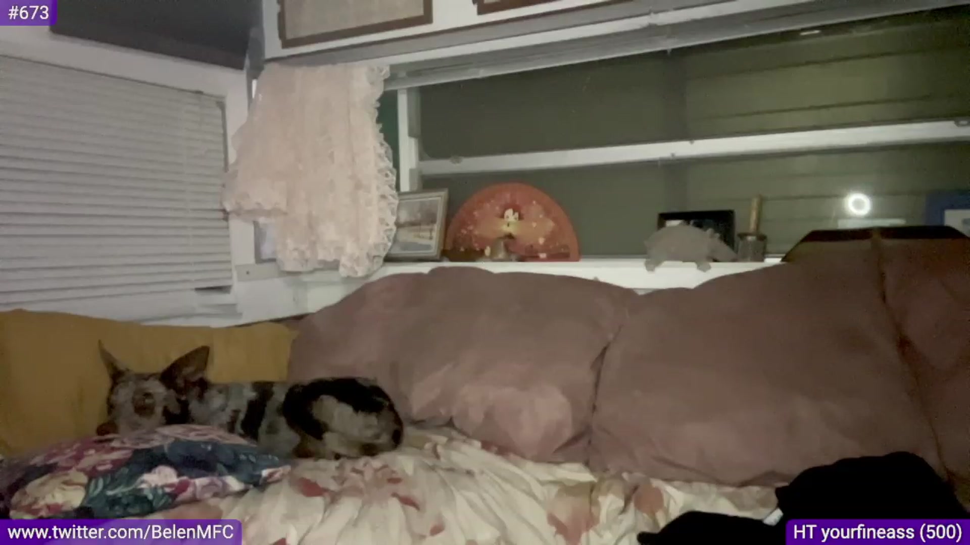 Gallery image thumbnail from Belen_O's myfreecams stream on, 08/09/2023, 09:24 image 4 of 20