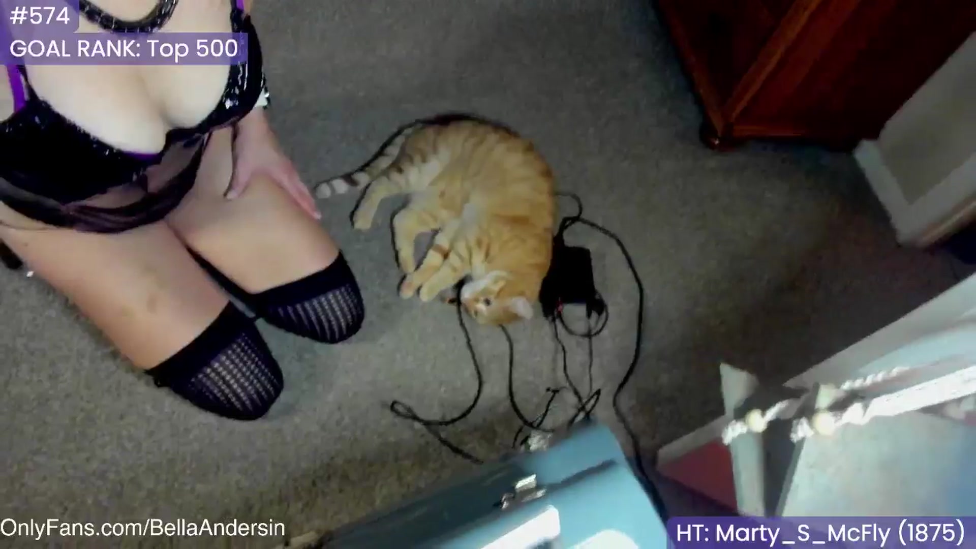 Gallery image thumbnail from BellaAndersin's myfreecams stream on, 01/31/2025, 03:40 image 17 of 20