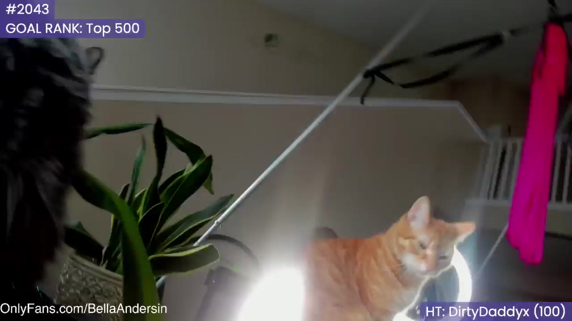 Gallery image thumbnail from BellaAndersin's myfreecams stream on, 02/07/2025, 14:41 image 8 of 20