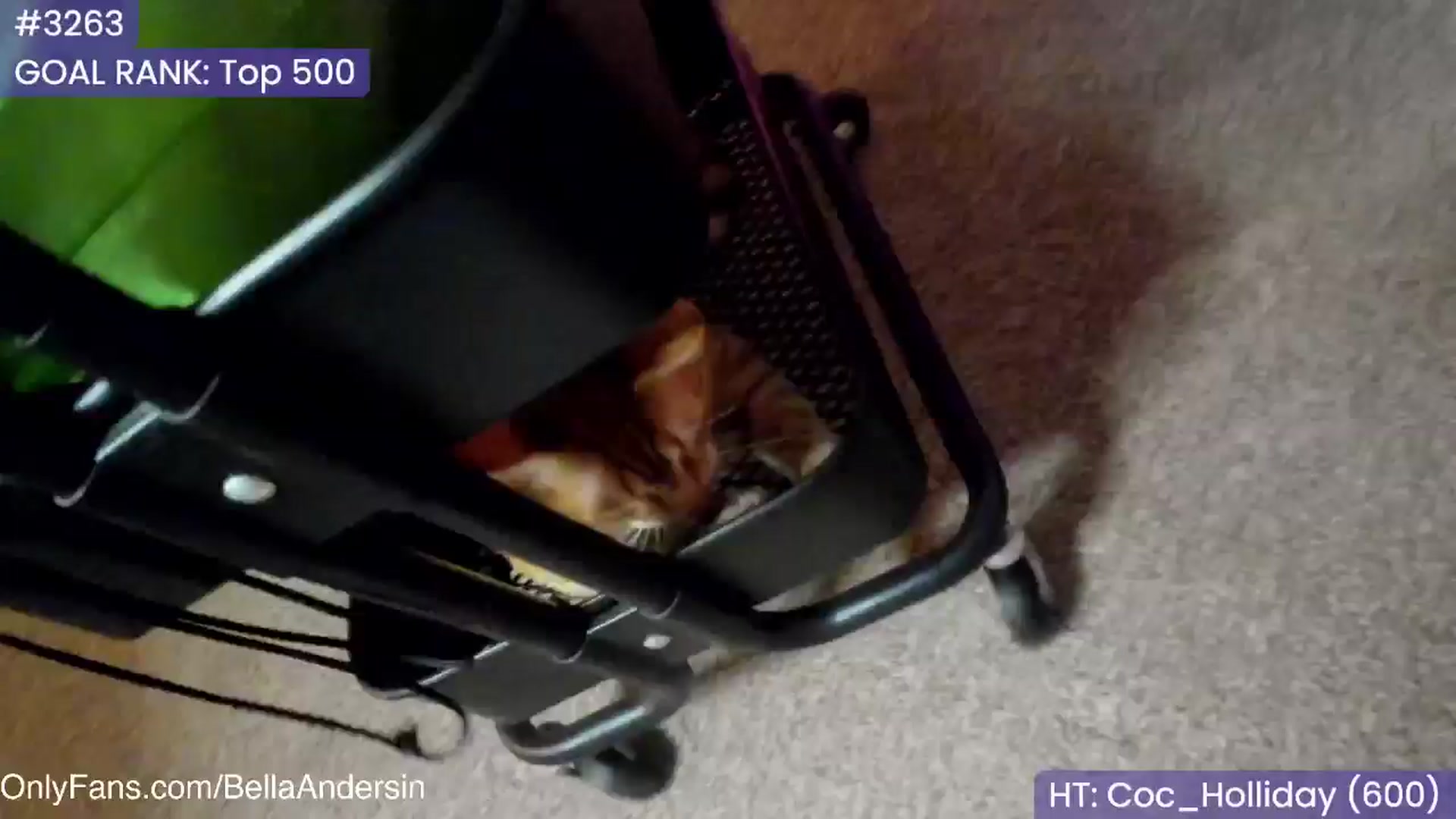 Gallery image thumbnail from BellaAndersin's myfreecams stream on, 02/15/2025, 03:14 image 14 of 20