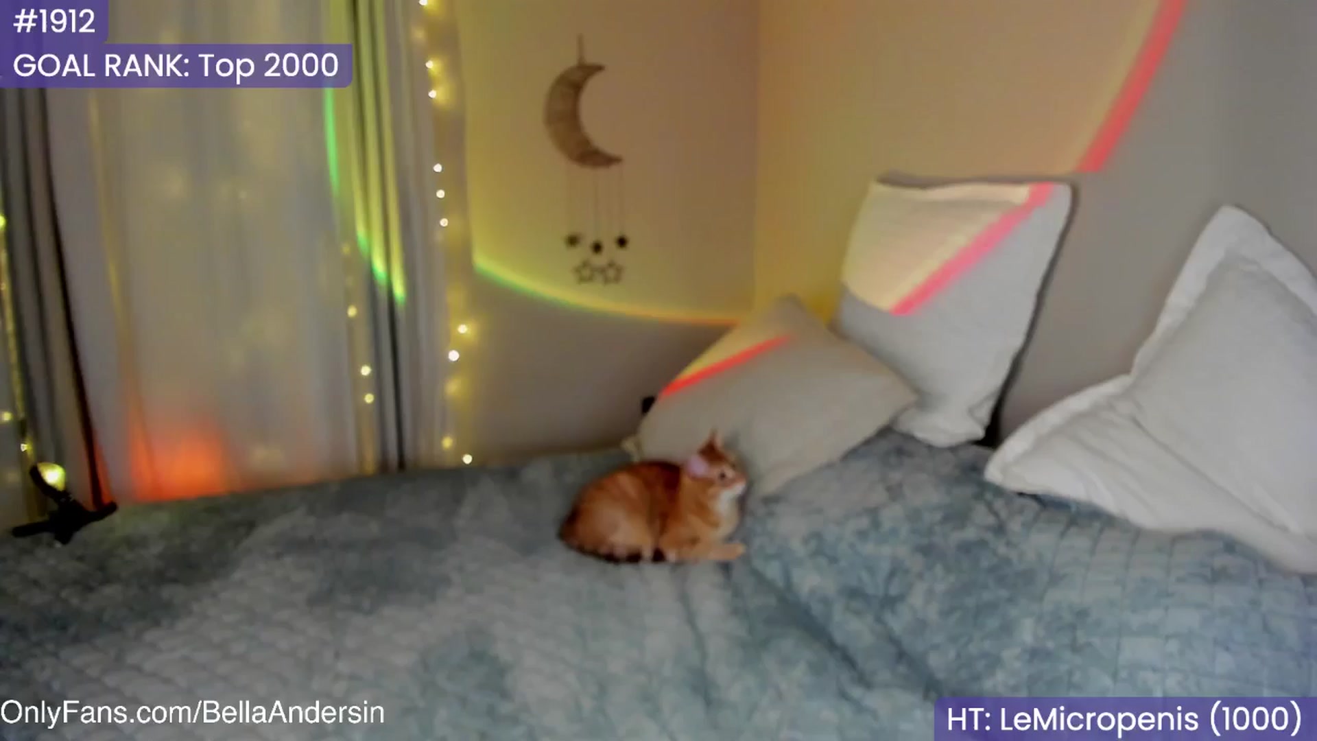 Gallery image thumbnail from BellaAndersin's myfreecams stream on, 02/19/2025, 01:37 image 20 of 20