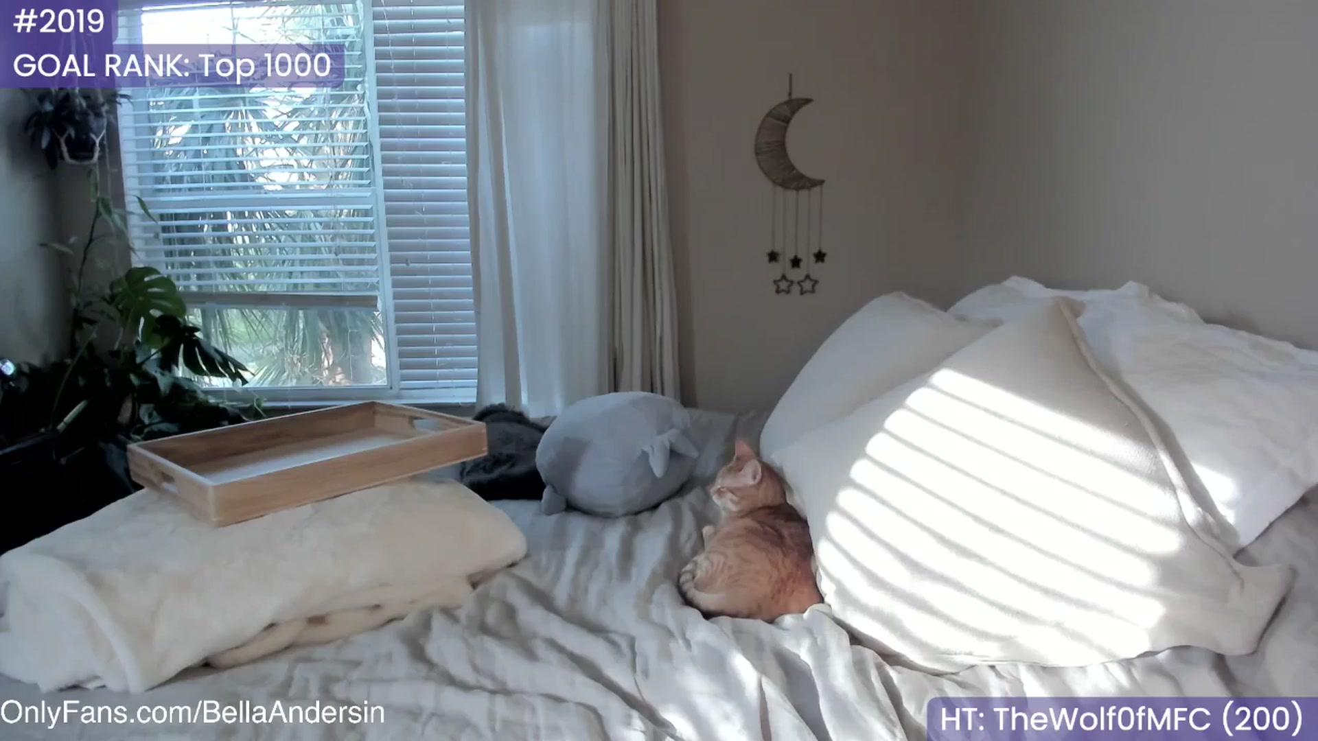 Gallery image thumbnail from BellaAndersin's myfreecams stream on, 04/22/2025, 23:38 image 7 of 20
