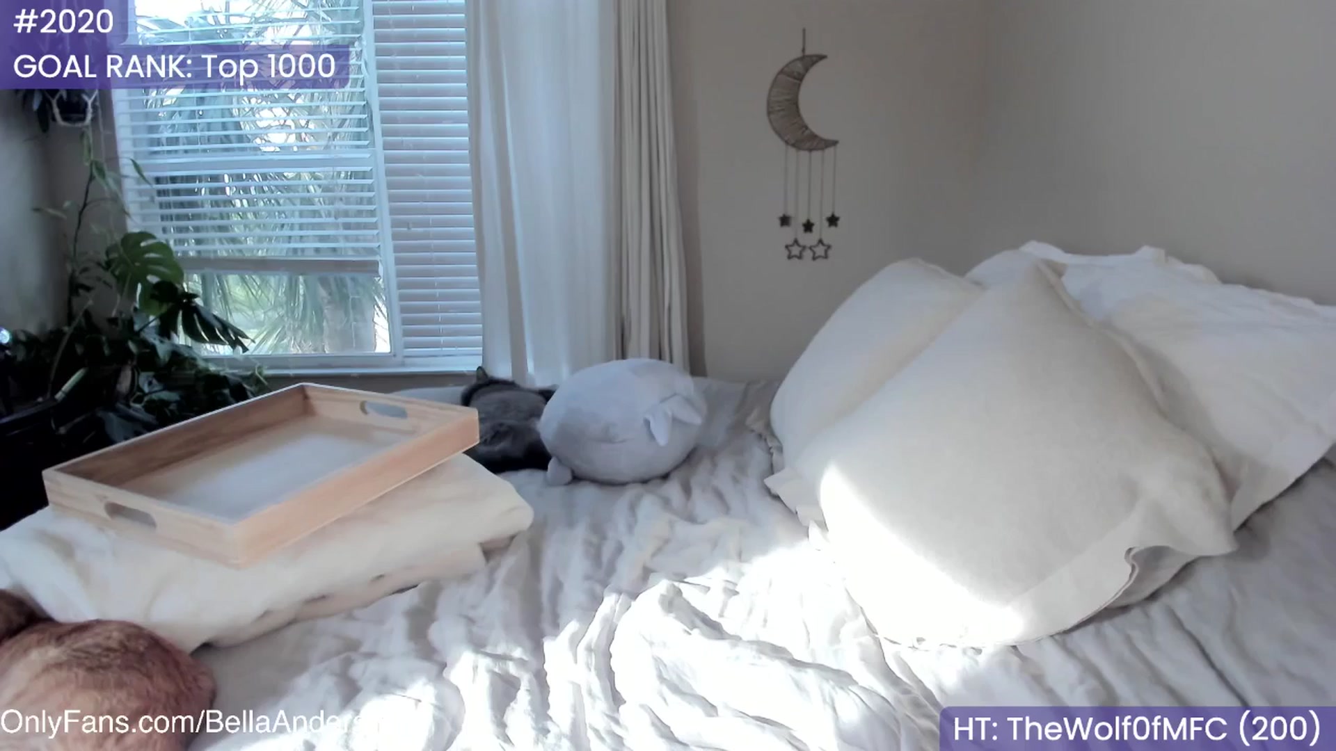 Gallery image thumbnail from BellaAndersin's myfreecams stream on, 04/22/2025, 23:38 image 3 of 20
