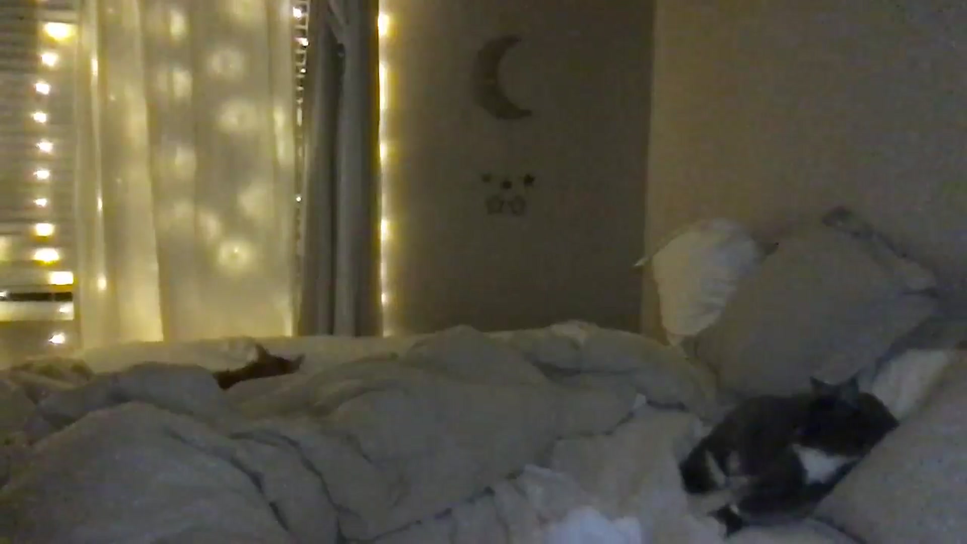 Gallery image thumbnail from BellaAndersin's myfreecams stream on, 07/31/2025, 06:27 image 19 of 20