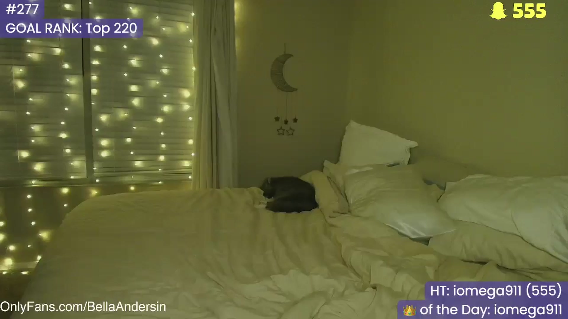 Gallery image thumbnail from BellaAndersin's myfreecams stream on, 10/23/2025, 06:36 image 14 of 20