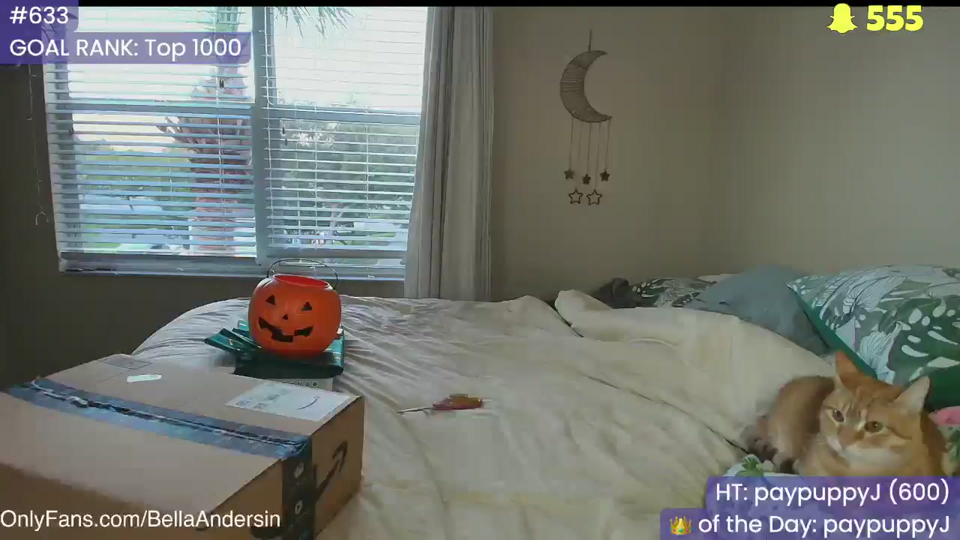 Gallery image thumbnail from BellaAndersin's myfreecams stream on, 11/01/2025, 23:11 image 16 of 20