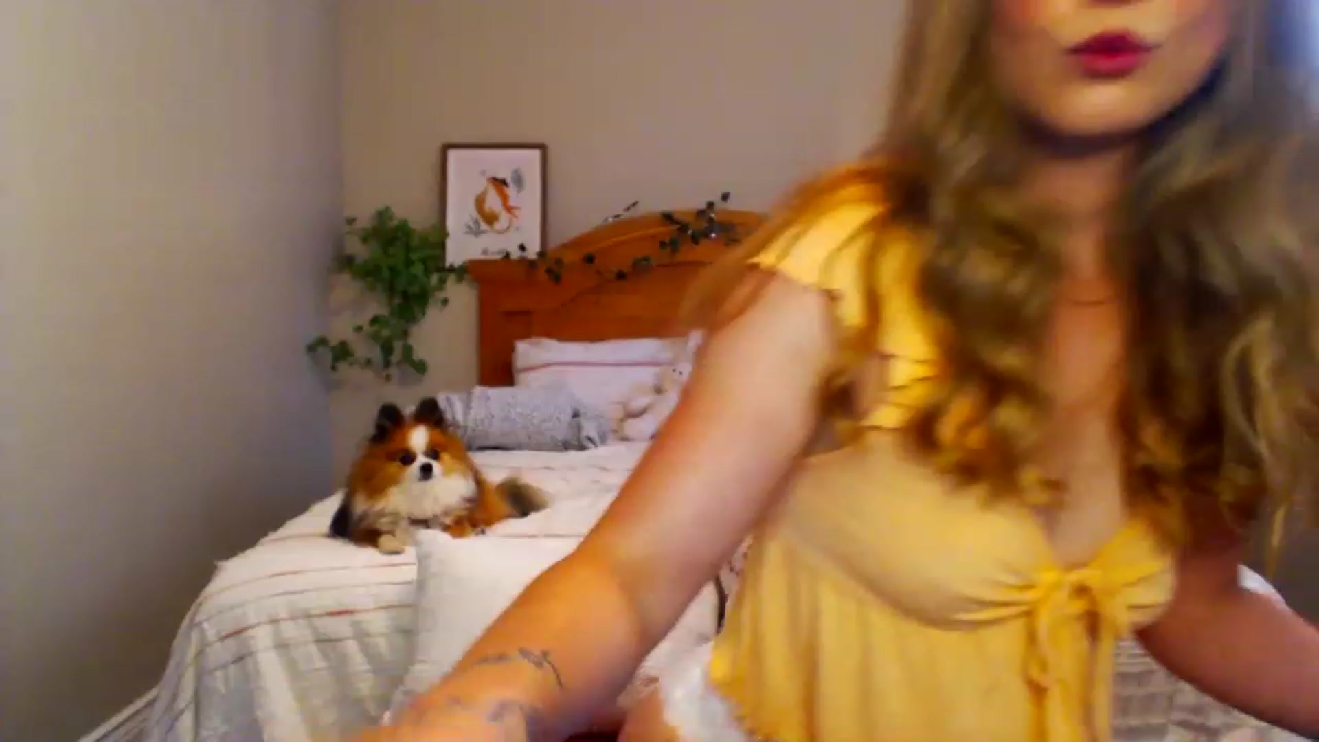 Gallery image thumbnail from BellaFairfox's myfreecams stream on, 06/26/2023, 19:35 image 19 of 20