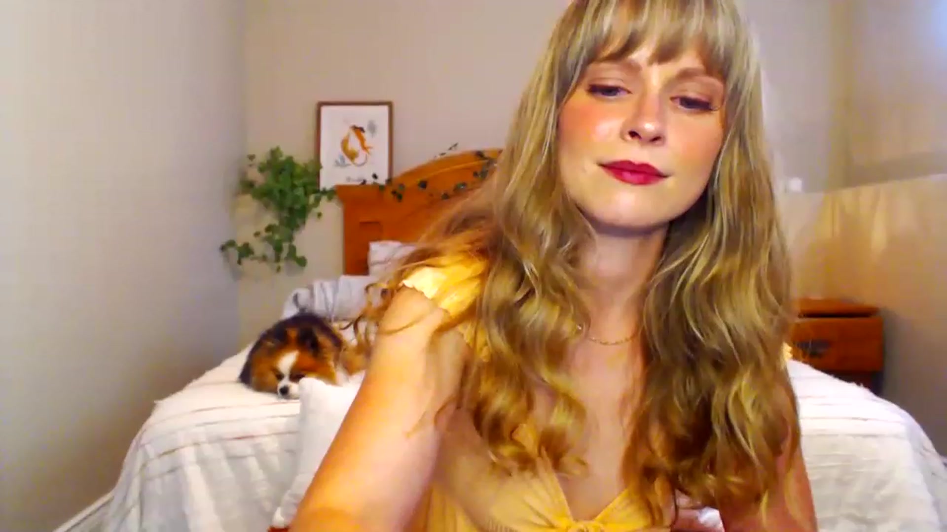 Gallery image thumbnail from BellaFairfox's myfreecams stream on, 06/26/2023, 19:35 image 20 of 20
