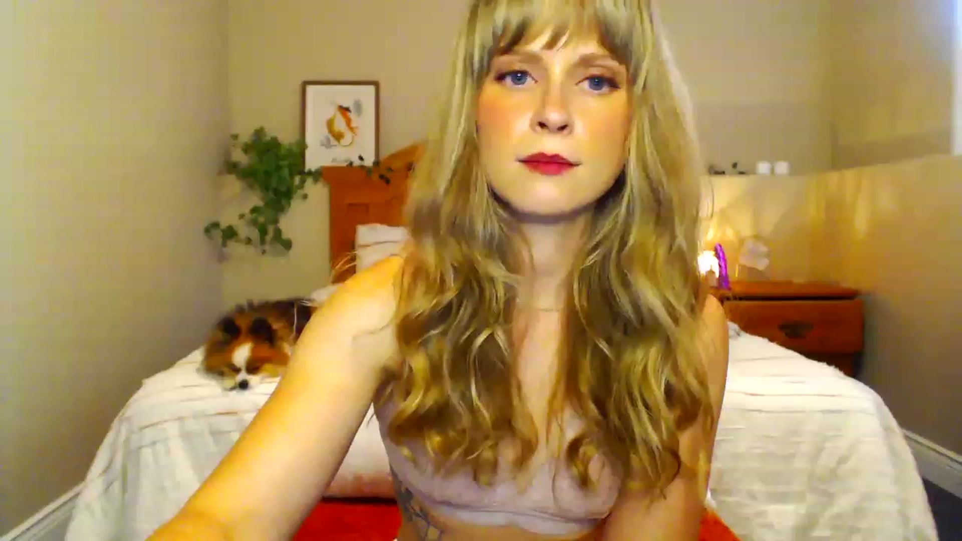 Gallery image thumbnail from BellaFairfox's myfreecams stream on, 06/26/2023, 21:05 image 20 of 20