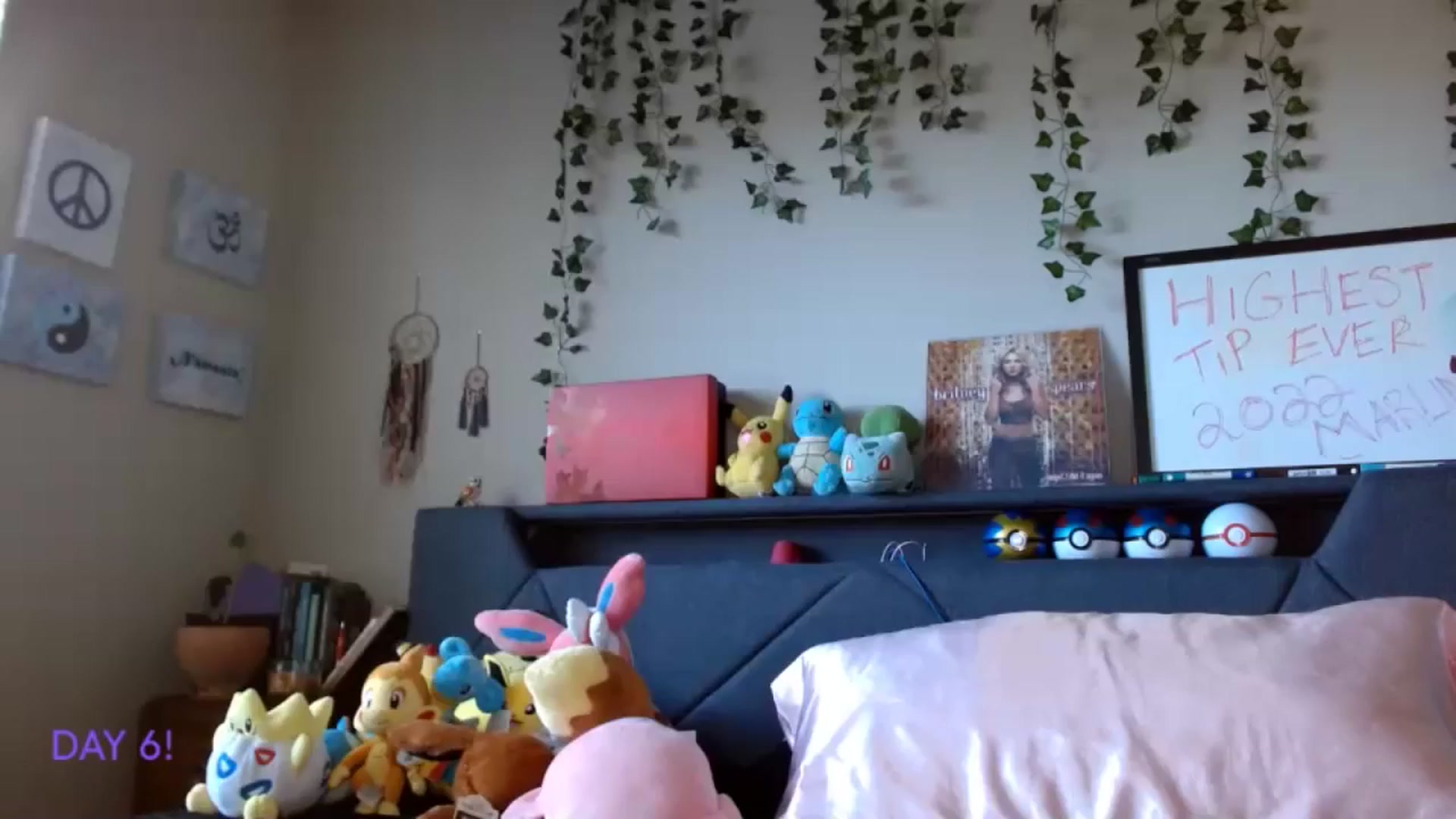 Gallery image thumbnail from BellaSkye's myfreecams stream on, 12/07/2024, 15:46 image 1 of 20