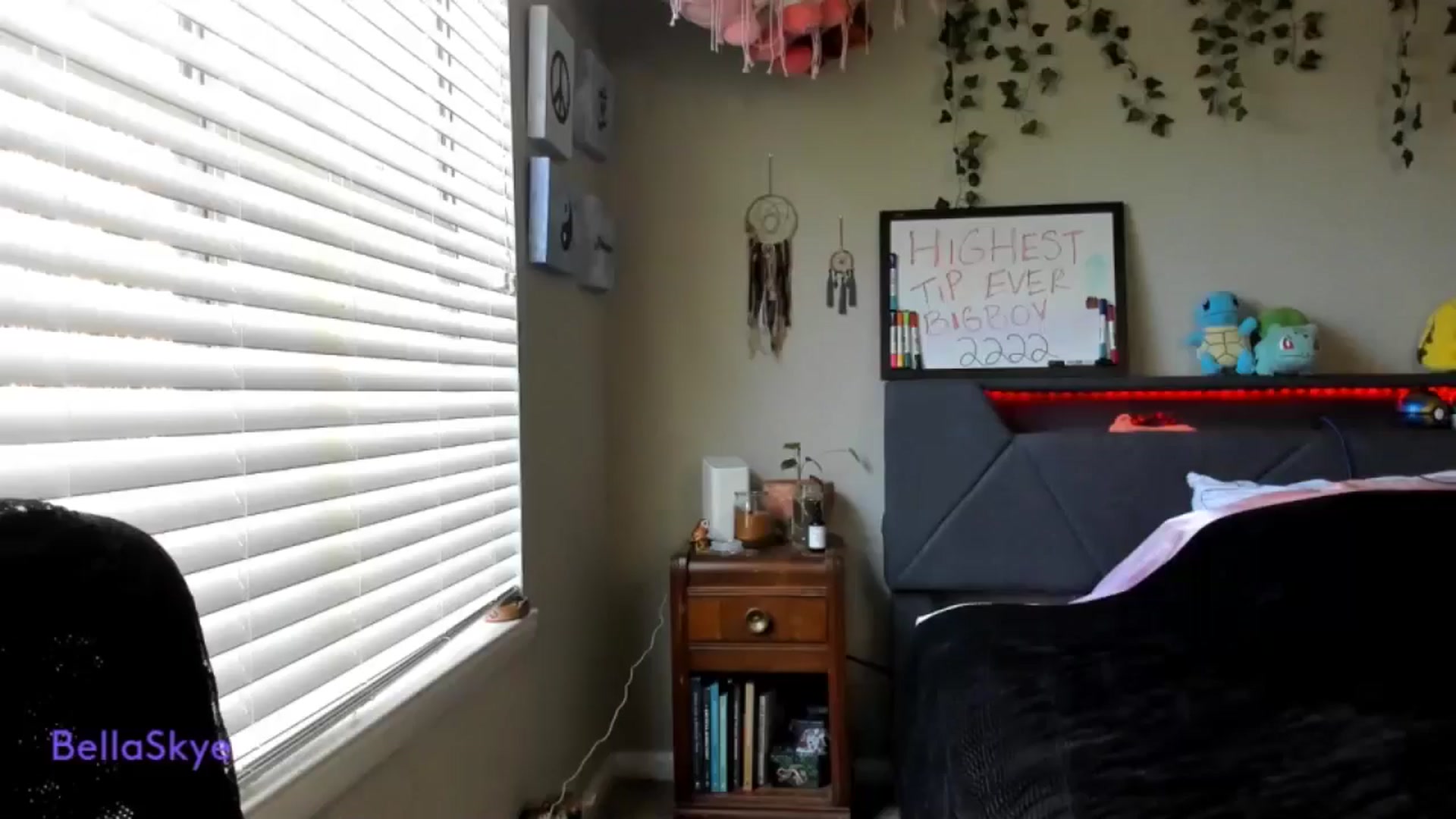Gallery image thumbnail from BellaSkye's myfreecams stream on, 12/20/2024, 17:40 image 12 of 20