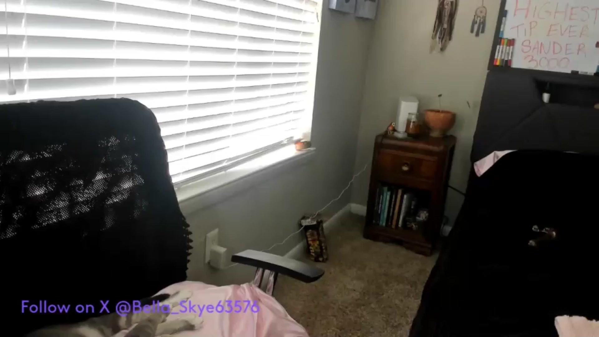 Gallery image thumbnail from BellaSkye's myfreecams stream on, 12/21/2024, 19:58 image 12 of 20