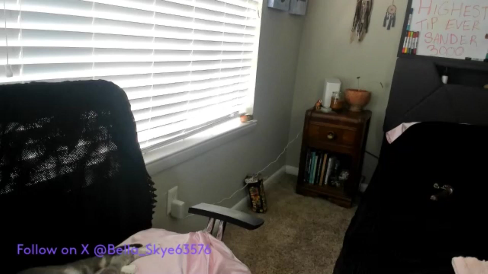 Gallery image thumbnail from BellaSkye's myfreecams stream on, 12/21/2024, 19:58 image 11 of 20