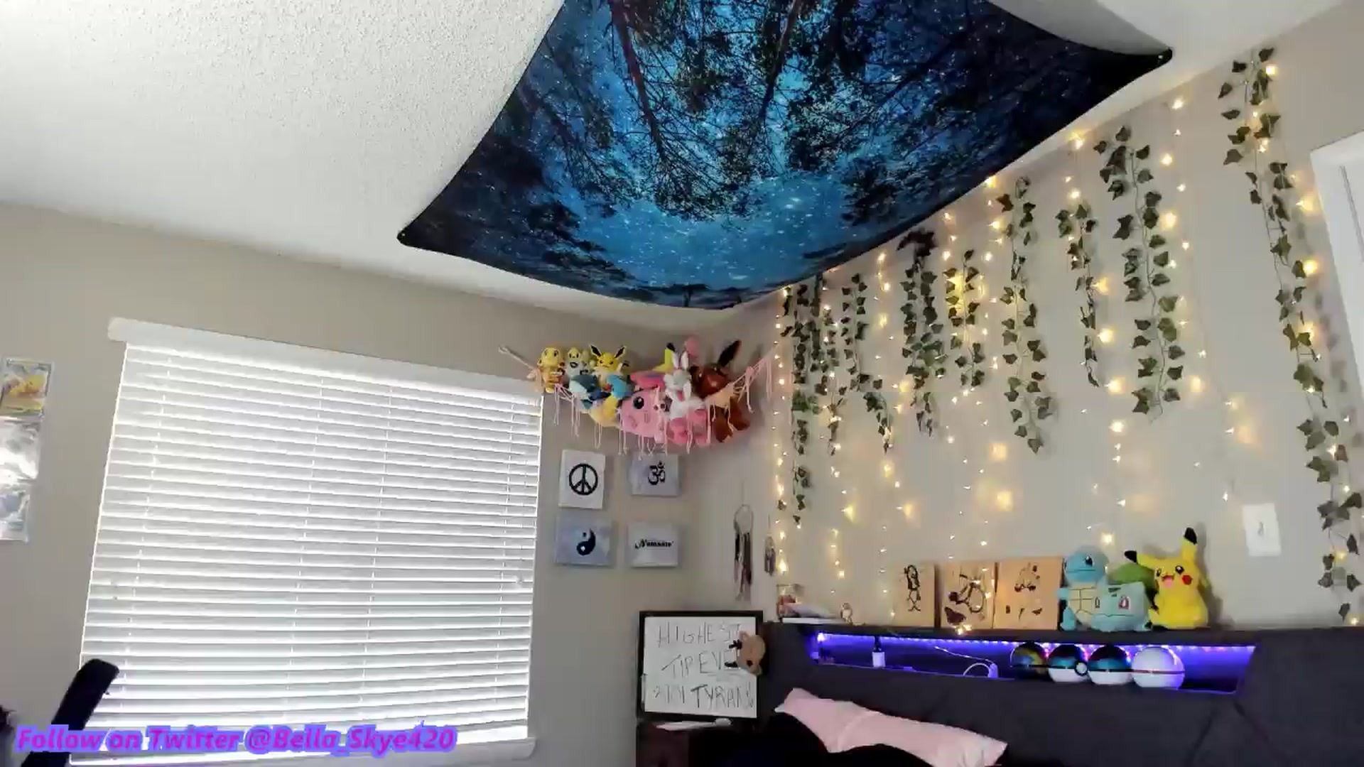 Gallery image thumbnail from BellaSkye's myfreecams stream on, 01/19/2025, 19:16 image 11 of 20