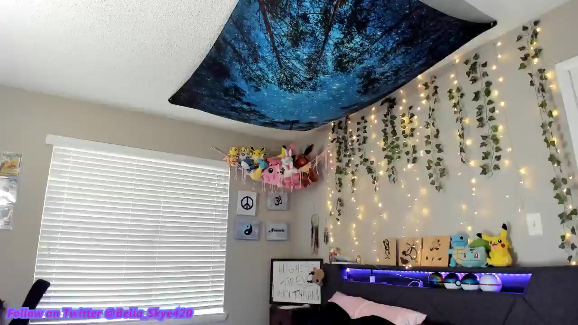 Gallery image thumbnail from BellaSkye's myfreecams stream on, 01/19/2025, 19:16 image 10 of 20