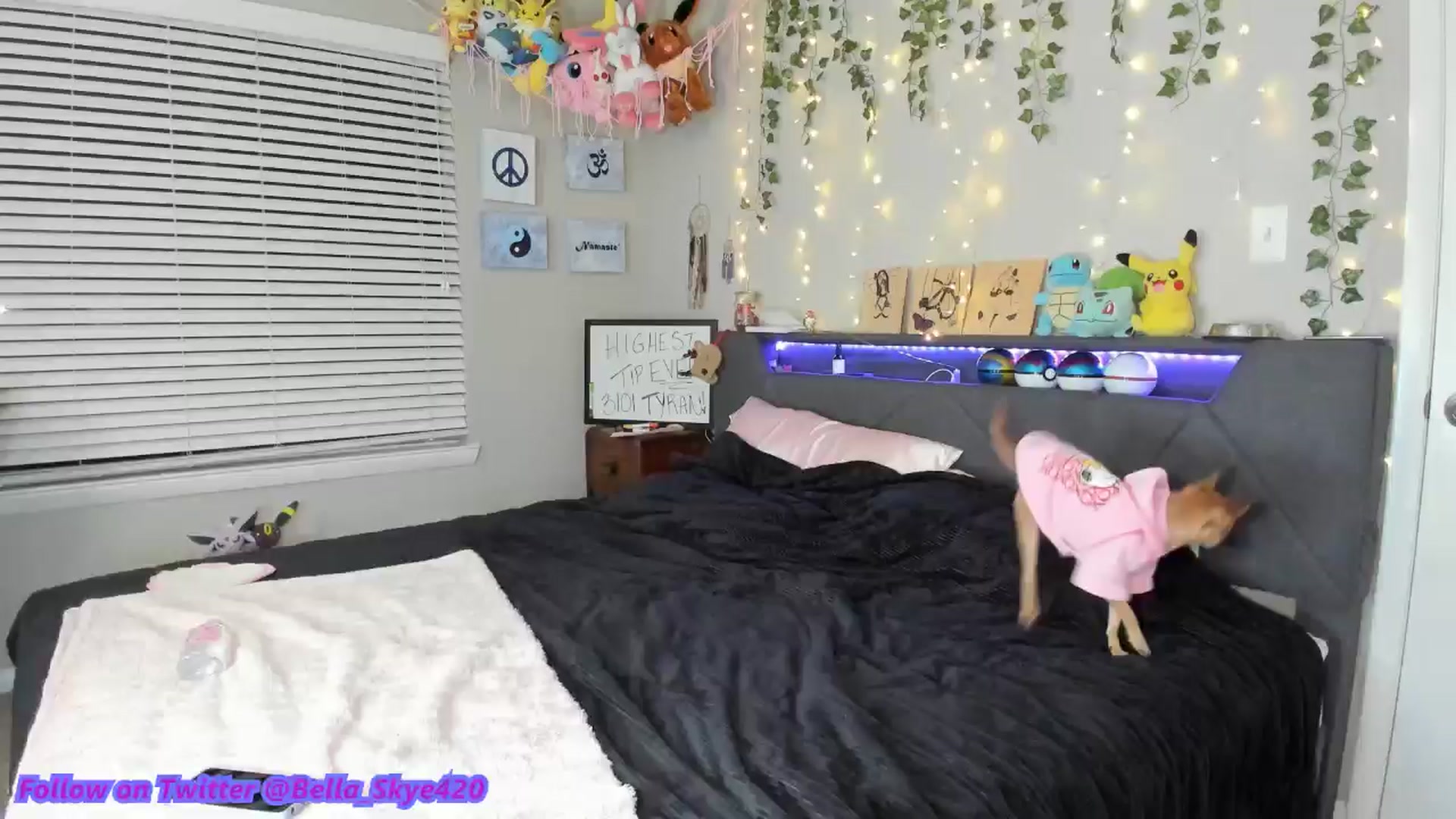 Gallery image thumbnail from BellaSkye's myfreecams stream on, 01/20/2025, 02:10 image 16 of 20