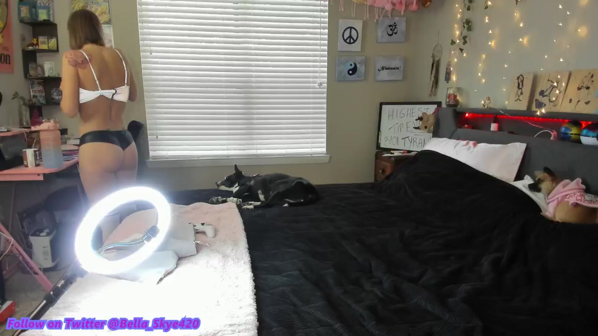 Gallery image thumbnail from BellaSkye's myfreecams stream on, 01/21/2025, 16:13 image 1 of 20