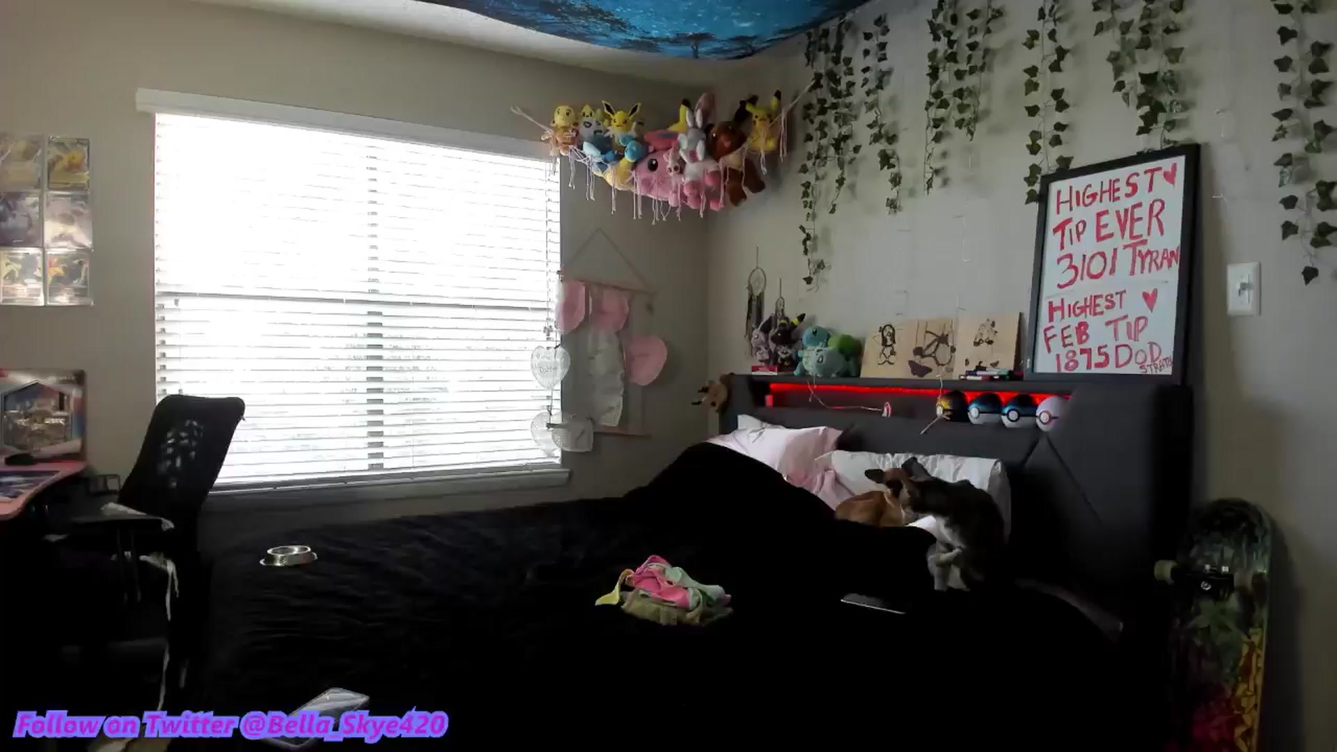 Gallery image thumbnail from BellaSkye's myfreecams stream on, 02/09/2025, 13:37 image 20 of 20