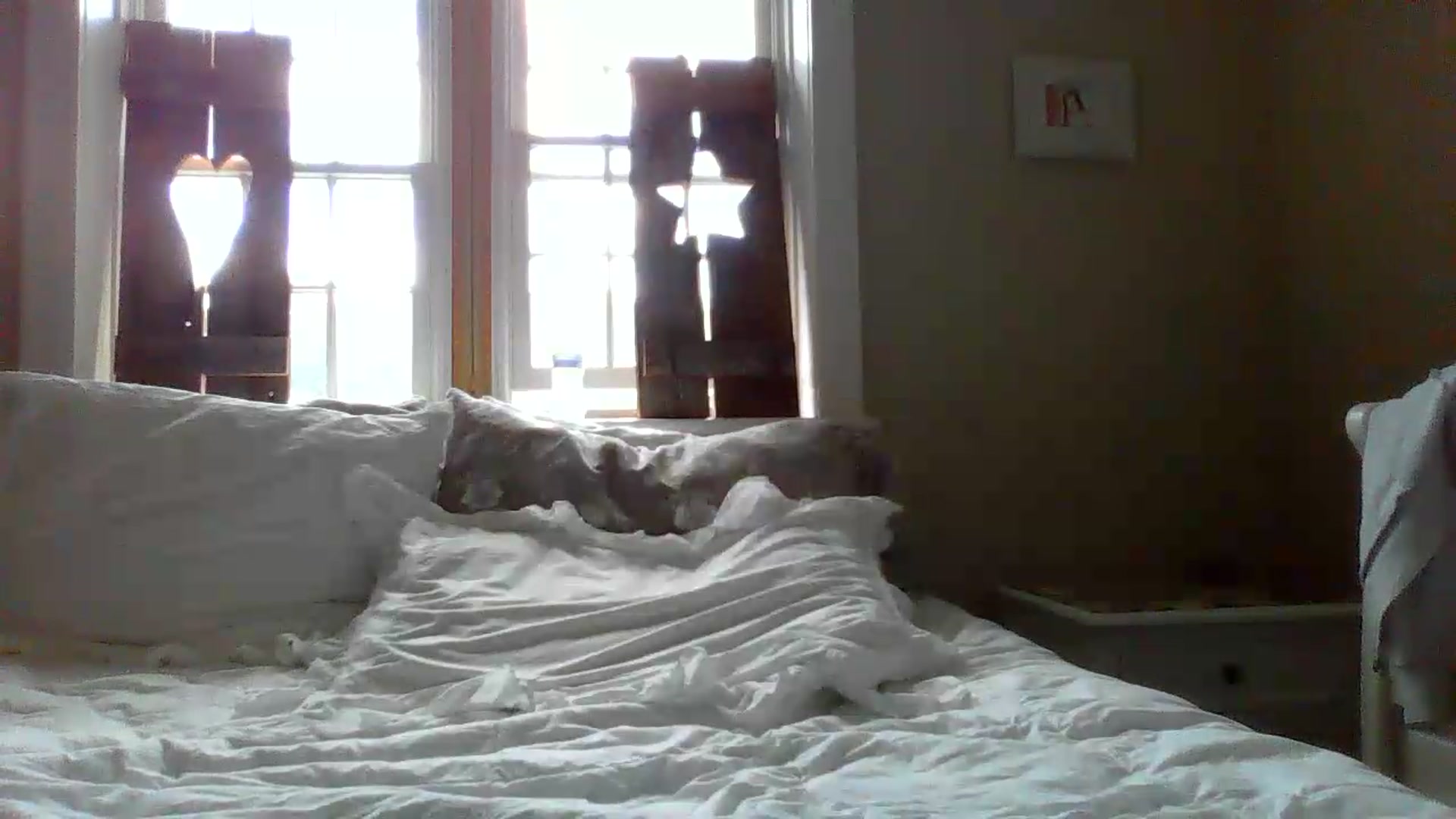 Gallery image thumbnail from Bella_2683's myfreecams stream on, 06/08/2026, 16:03 image 10 of 20