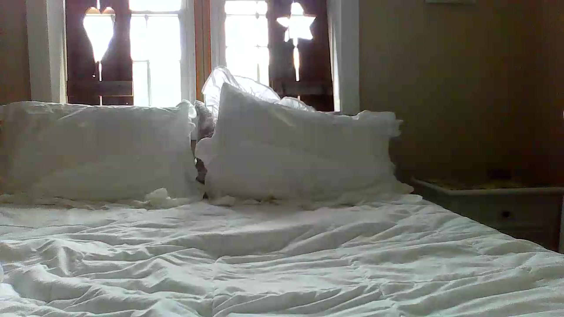 Gallery image thumbnail from Bella_2683's myfreecams stream on, 06/08/2026, 16:37 image 18 of 20
