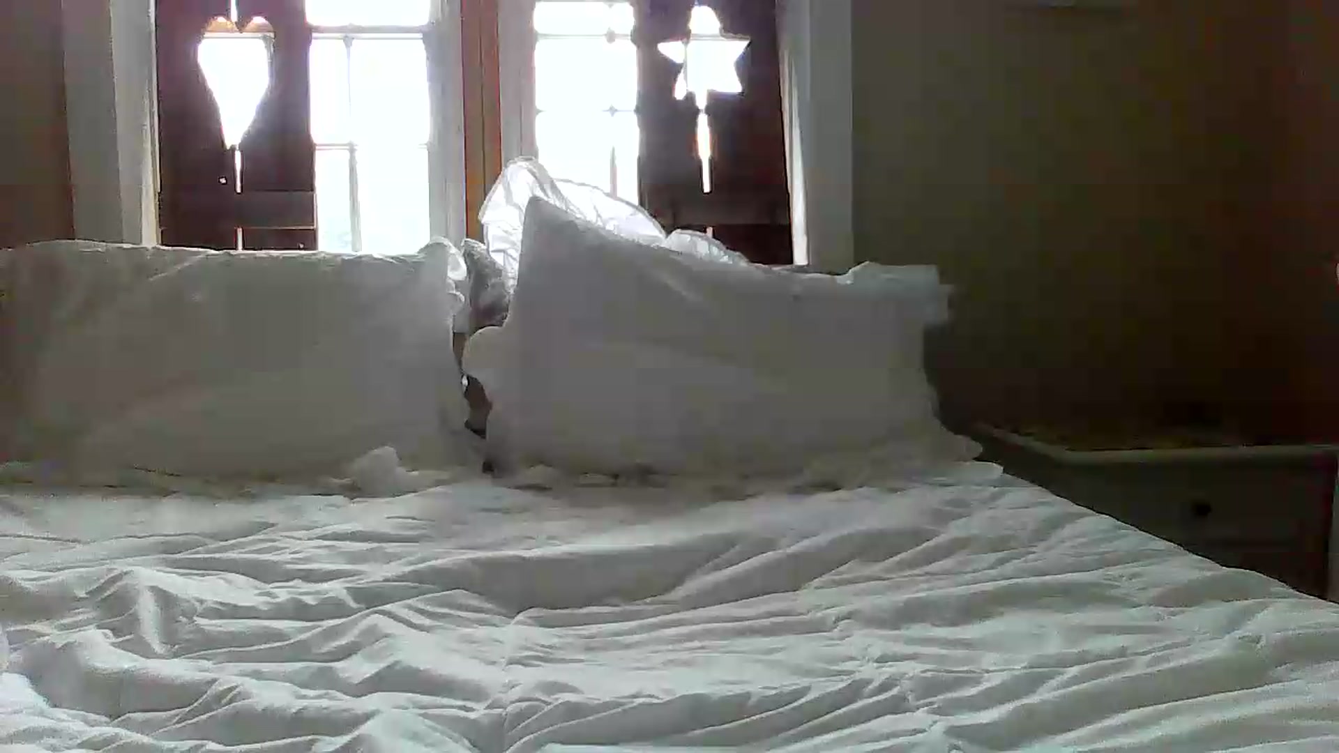 Gallery image thumbnail from Bella_2683's myfreecams stream on, 06/08/2026, 16:37 image 17 of 20