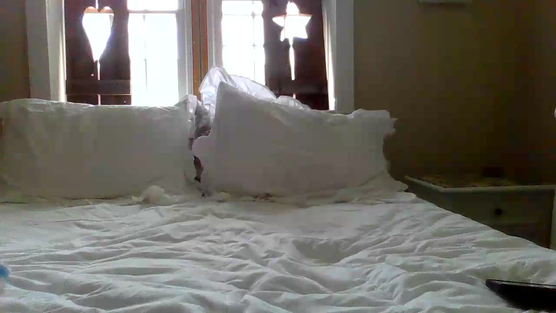 Gallery image thumbnail from Bella_2683's myfreecams stream on, 06/08/2026, 16:37 image 19 of 20
