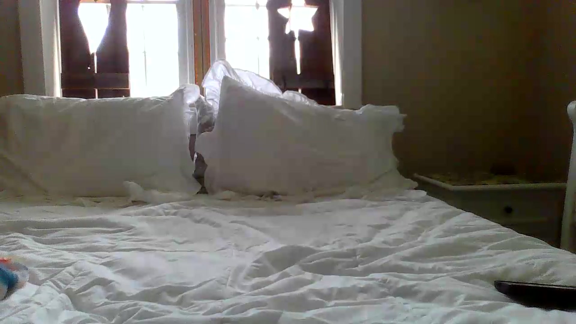 Gallery image thumbnail from Bella_2683's myfreecams stream on, 06/08/2026, 16:37 image 20 of 20
