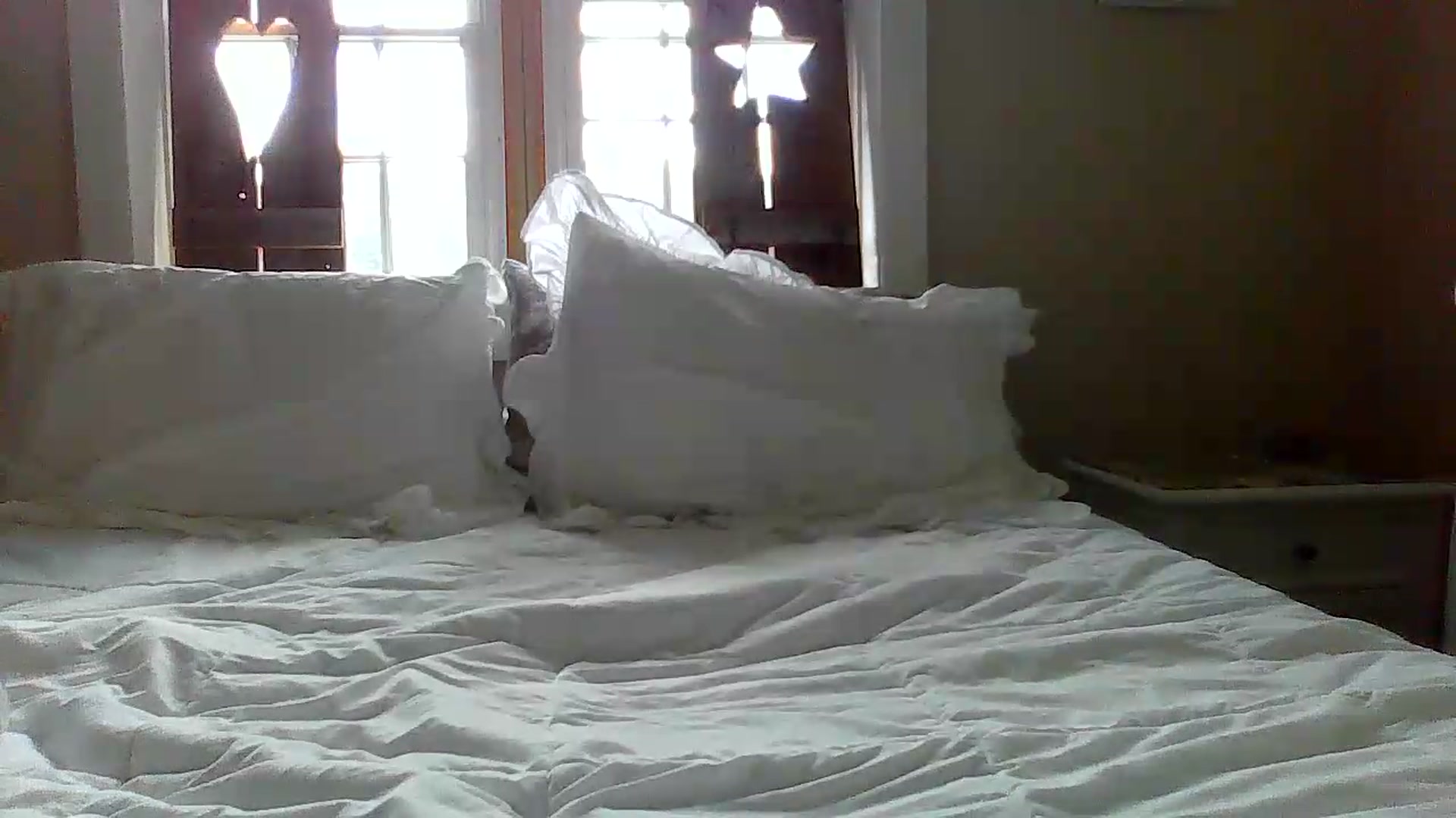 Gallery image thumbnail from Bella_2683's myfreecams stream on, 06/08/2026, 16:37 image 16 of 20