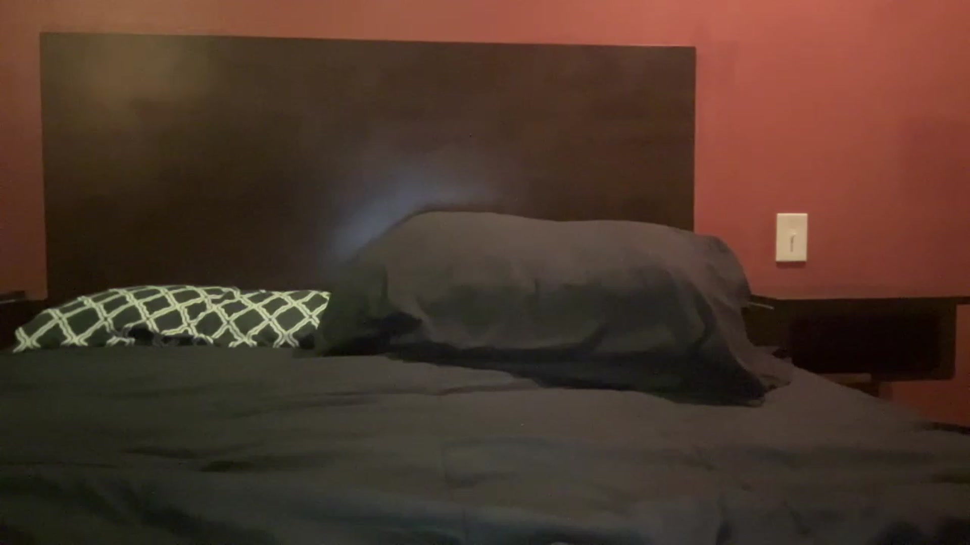 Gallery image thumbnail from Bella_Online's myfreecams stream on, 02/27/2023, 11:18 image 7 of 20