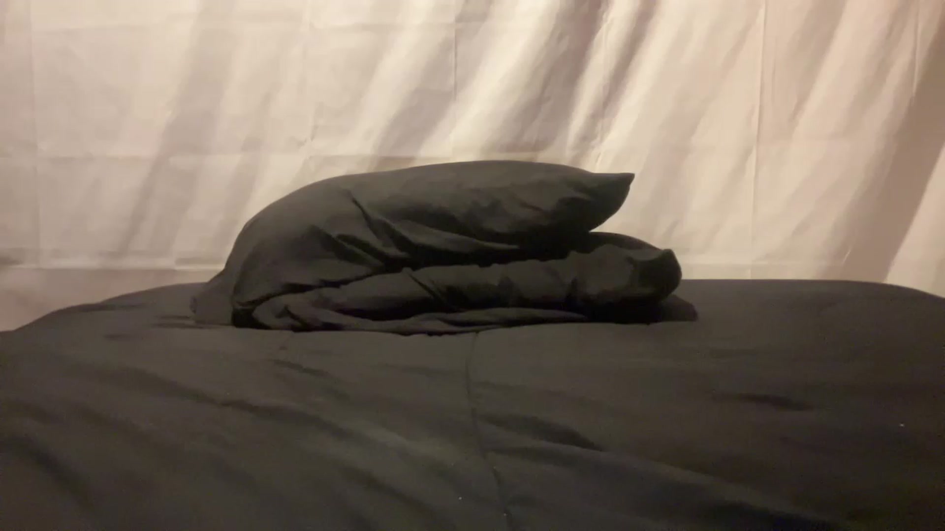 Gallery image thumbnail from Bella_Online's myfreecams stream on, 04/05/2023, 08:55 image 5 of 20