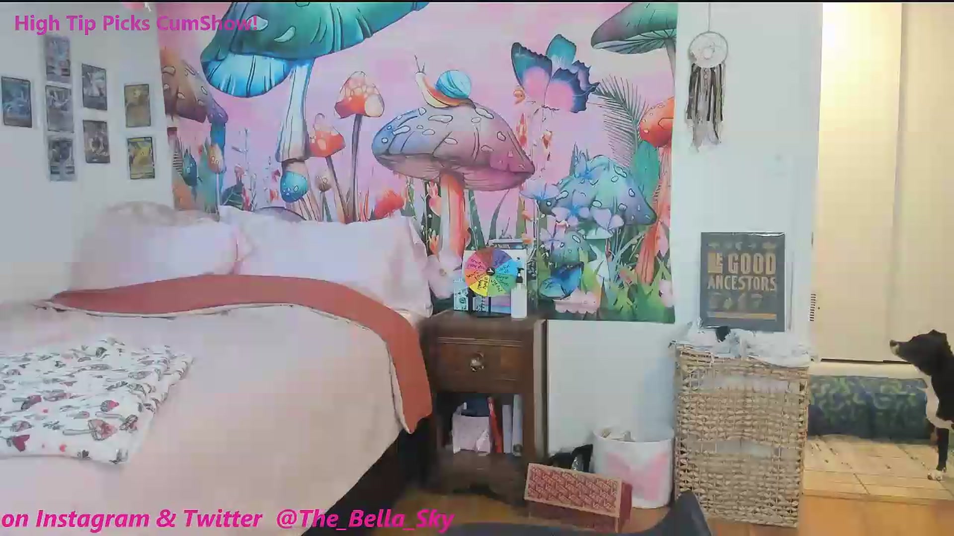 Gallery image thumbnail from Bella_Sky's myfreecams stream on, 05/27/2026, 16:36 image 13 of 20