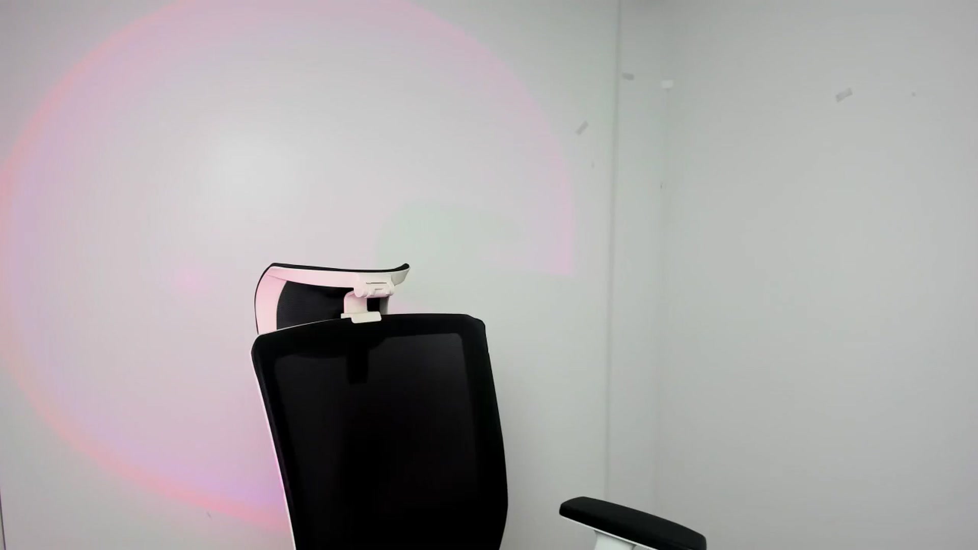 Gallery image thumbnail from Bella_amorere's myfreecams stream on, 09/09/2024, 16:43 image 11 of 20