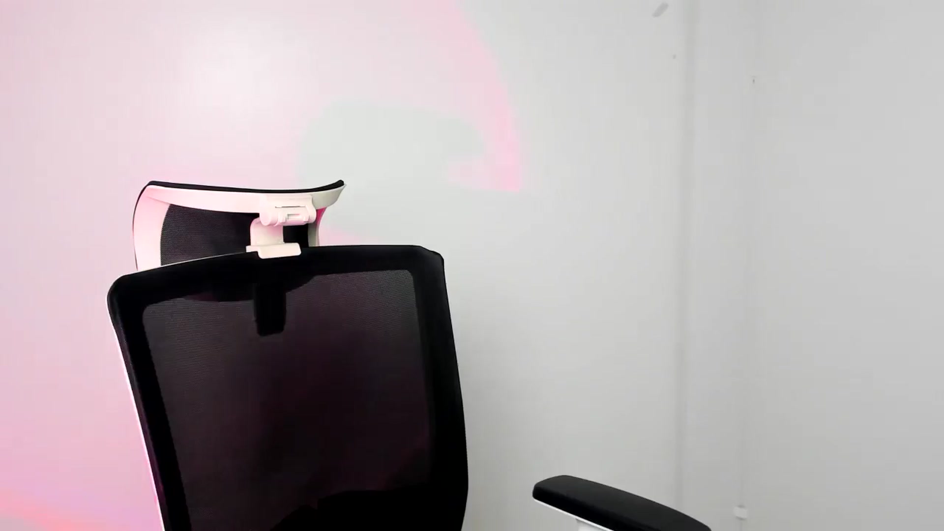 Gallery image thumbnail from Bella_amorere's myfreecams stream on, 12/08/2024, 13:23 image 11 of 20