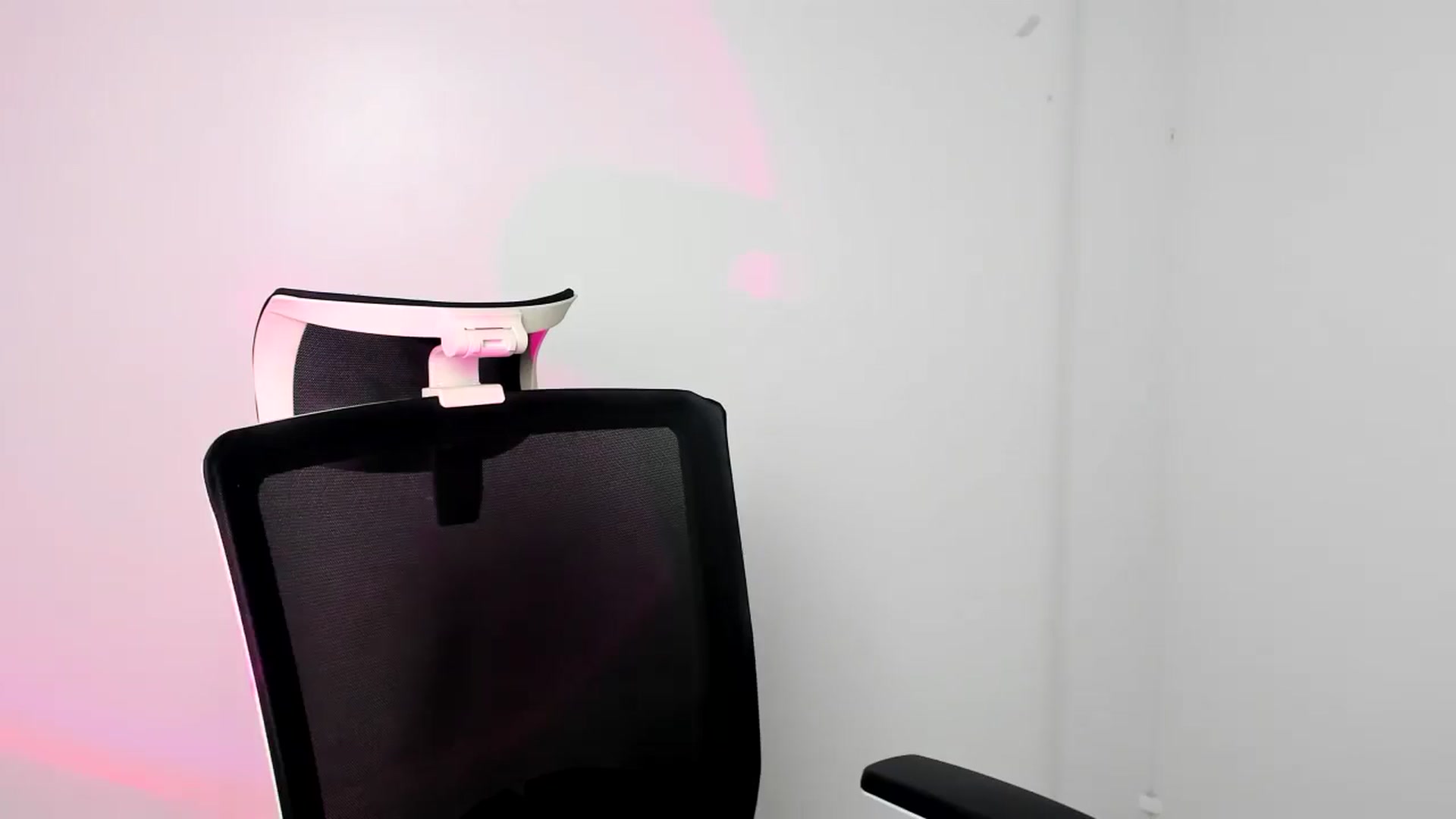 Gallery image thumbnail from Bella_amorere's myfreecams stream on, 12/08/2024, 14:09 image 11 of 20