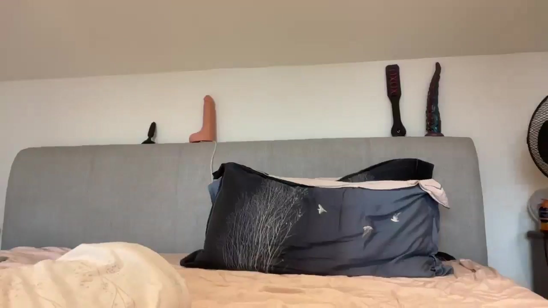 Gallery image thumbnail from Bellanoirxx's myfreecams stream on, 08/20/2025, 13:15 image 17 of 20