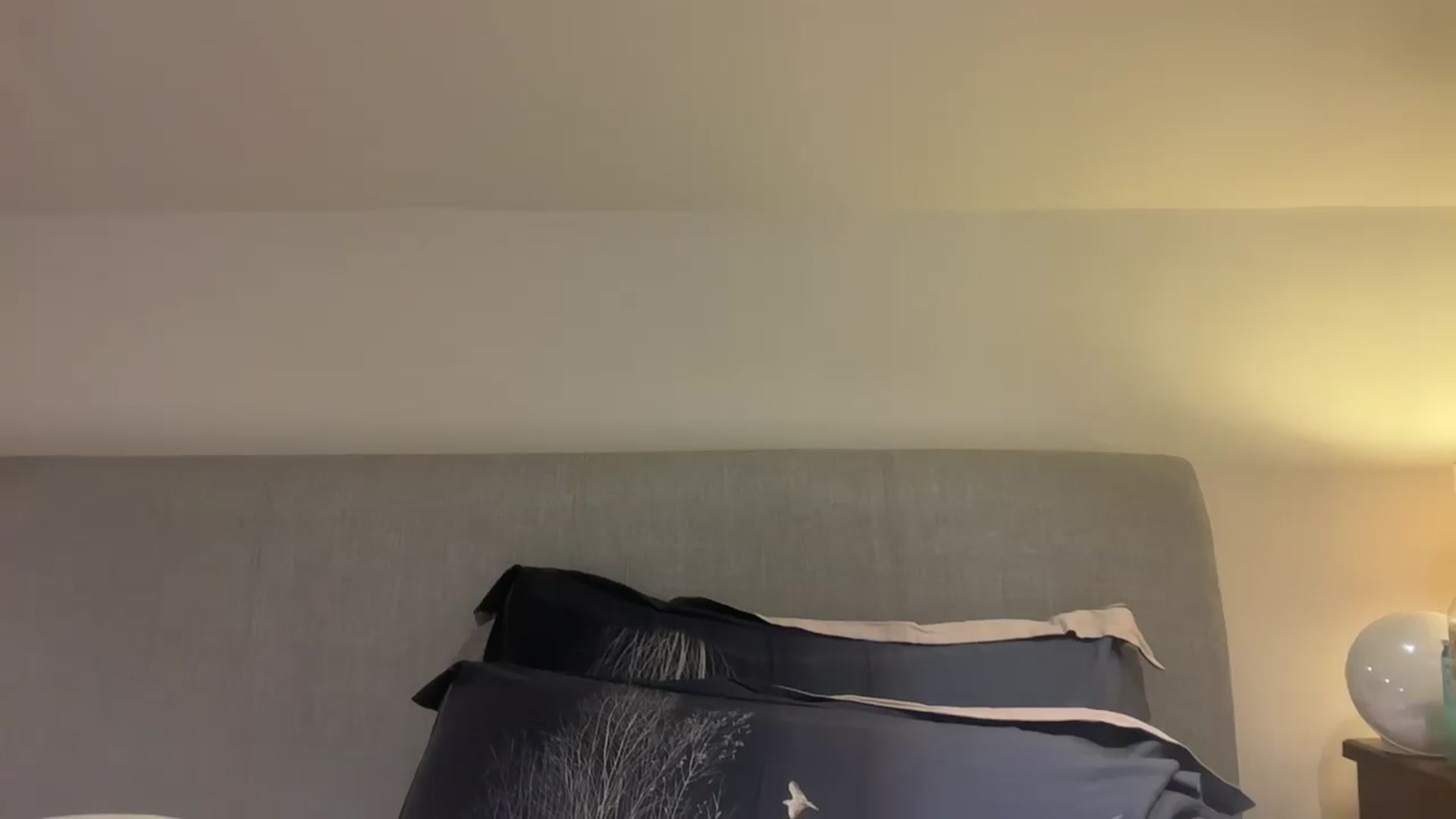 Gallery image thumbnail from Bellanoirxx's myfreecams stream on, 11/16/2025, 23:20 image 14 of 20