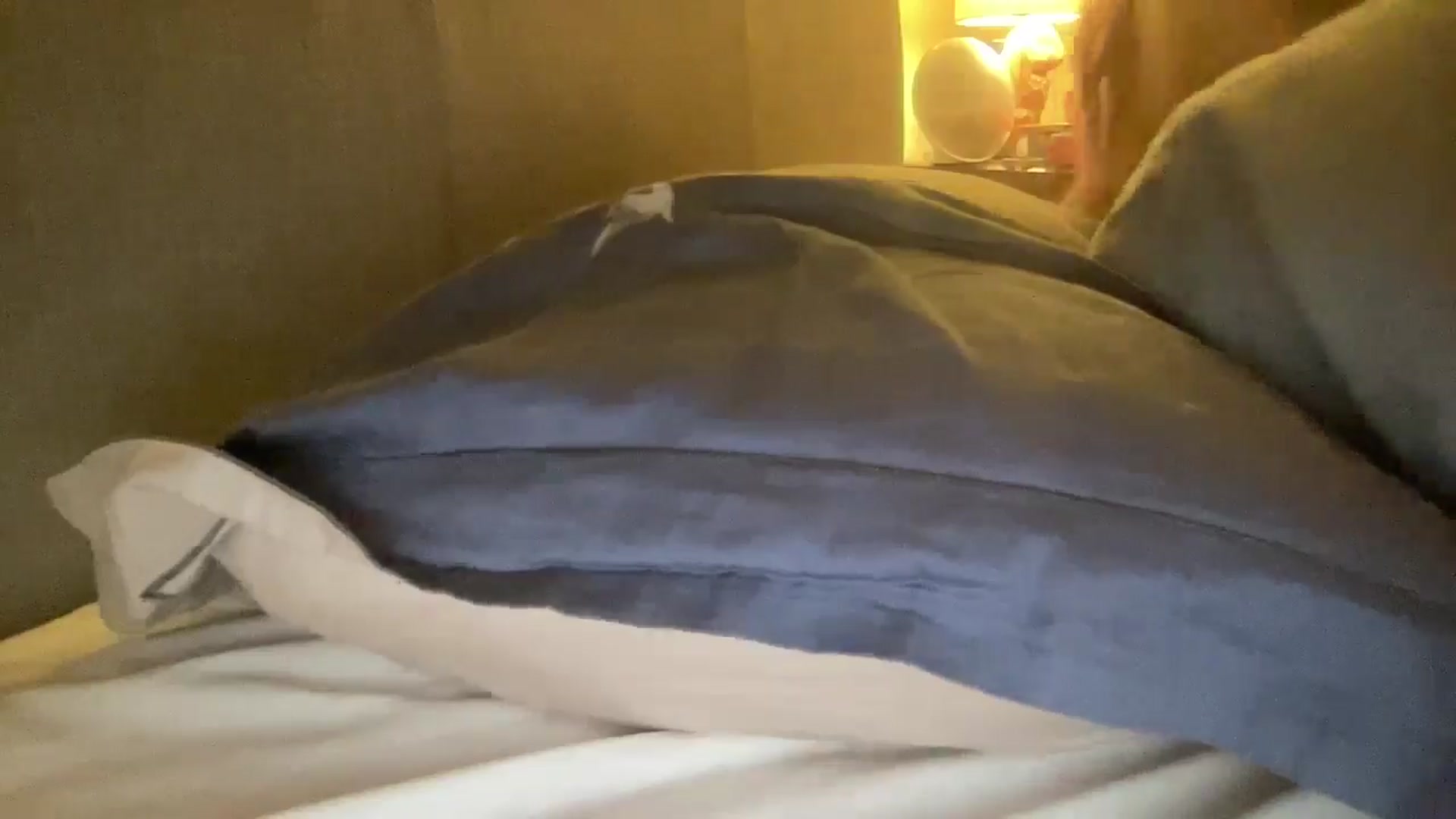 Gallery image thumbnail from Bellanoirxx's myfreecams stream on, 12/04/2025, 07:05 image 19 of 20