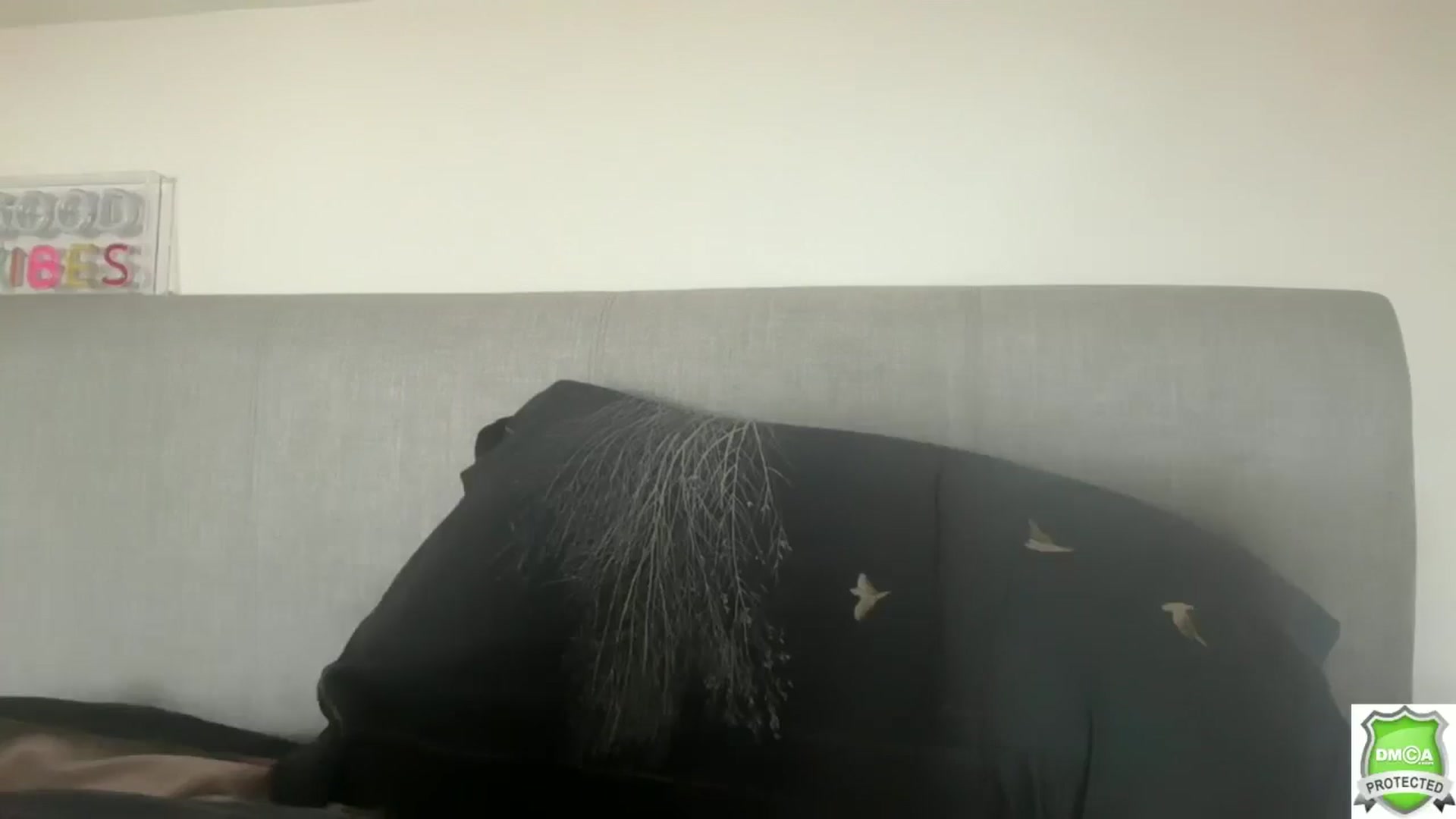 Gallery image thumbnail from Bellanoirxx's myfreecams stream on, 02/16/2026, 10:09 image 3 of 20