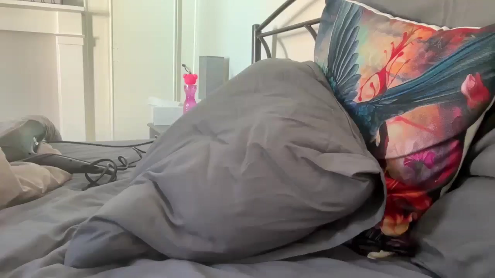 Gallery image thumbnail from Bellanoirxx's myfreecams stream on, 04/07/2026, 09:48 image 19 of 20