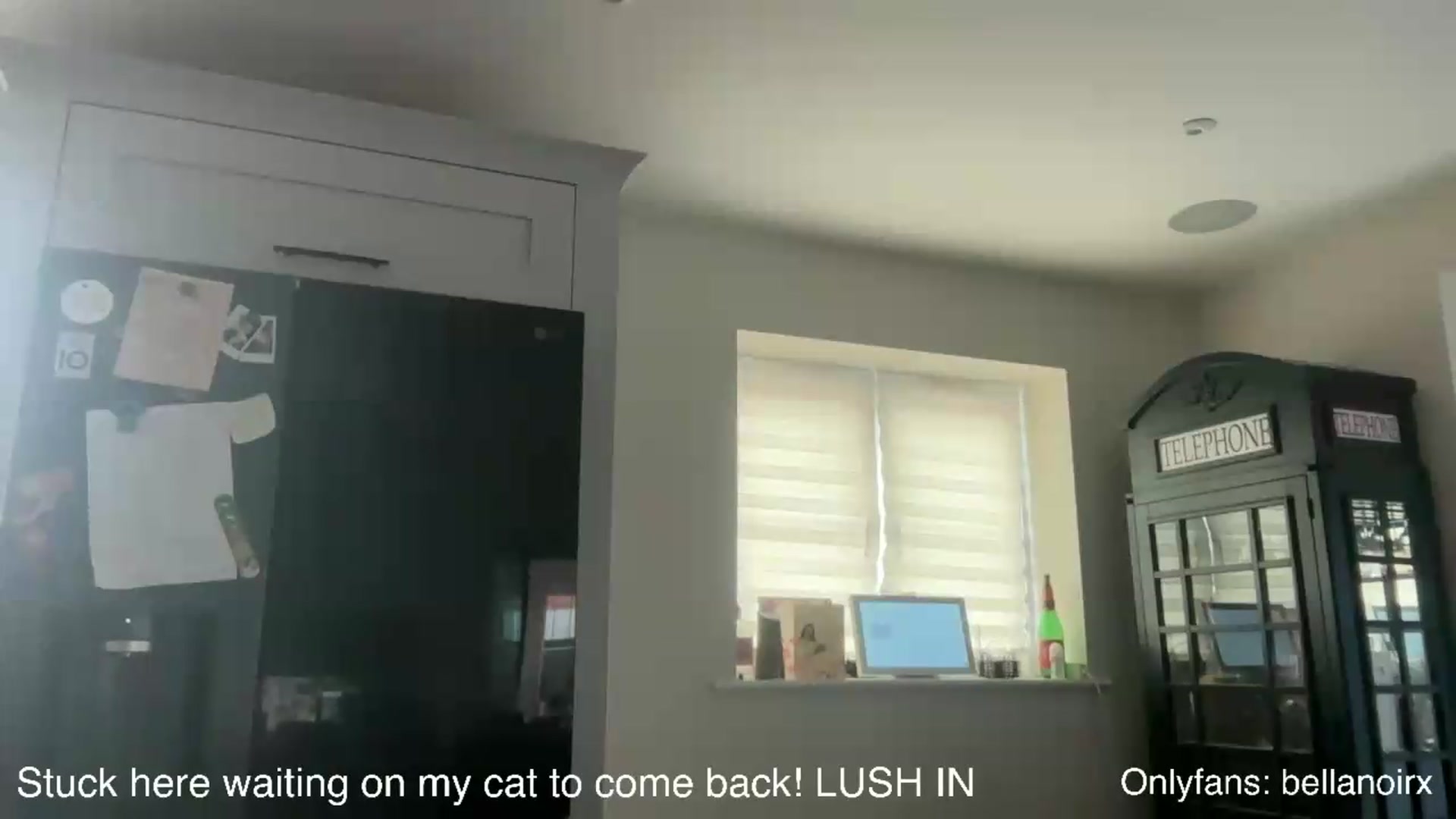 Gallery image thumbnail from Bellanoirxx's myfreecams stream on, 05/23/2026, 08:04 image 20 of 20