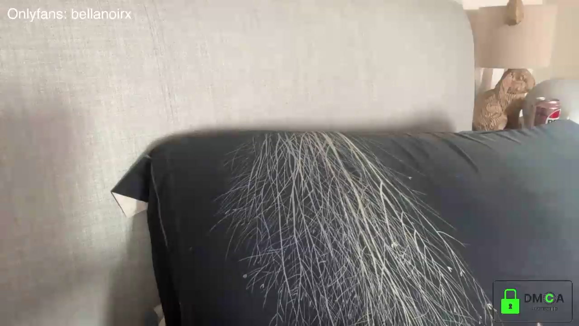 Gallery image thumbnail from Bellanoirxx's myfreecams stream on, 07/22/2026, 09:57 image 11 of 20