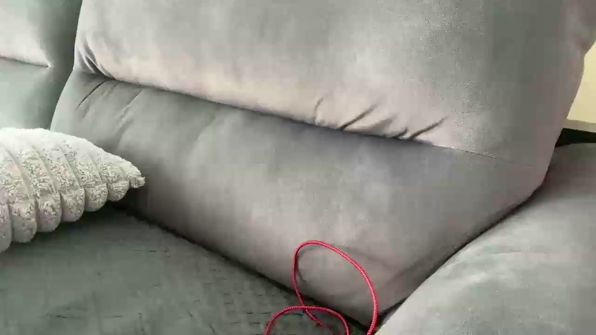 Gallery image thumbnail from Bellanoirxx's myfreecams stream on, 09/14/2026, 11:34 image 20 of 20